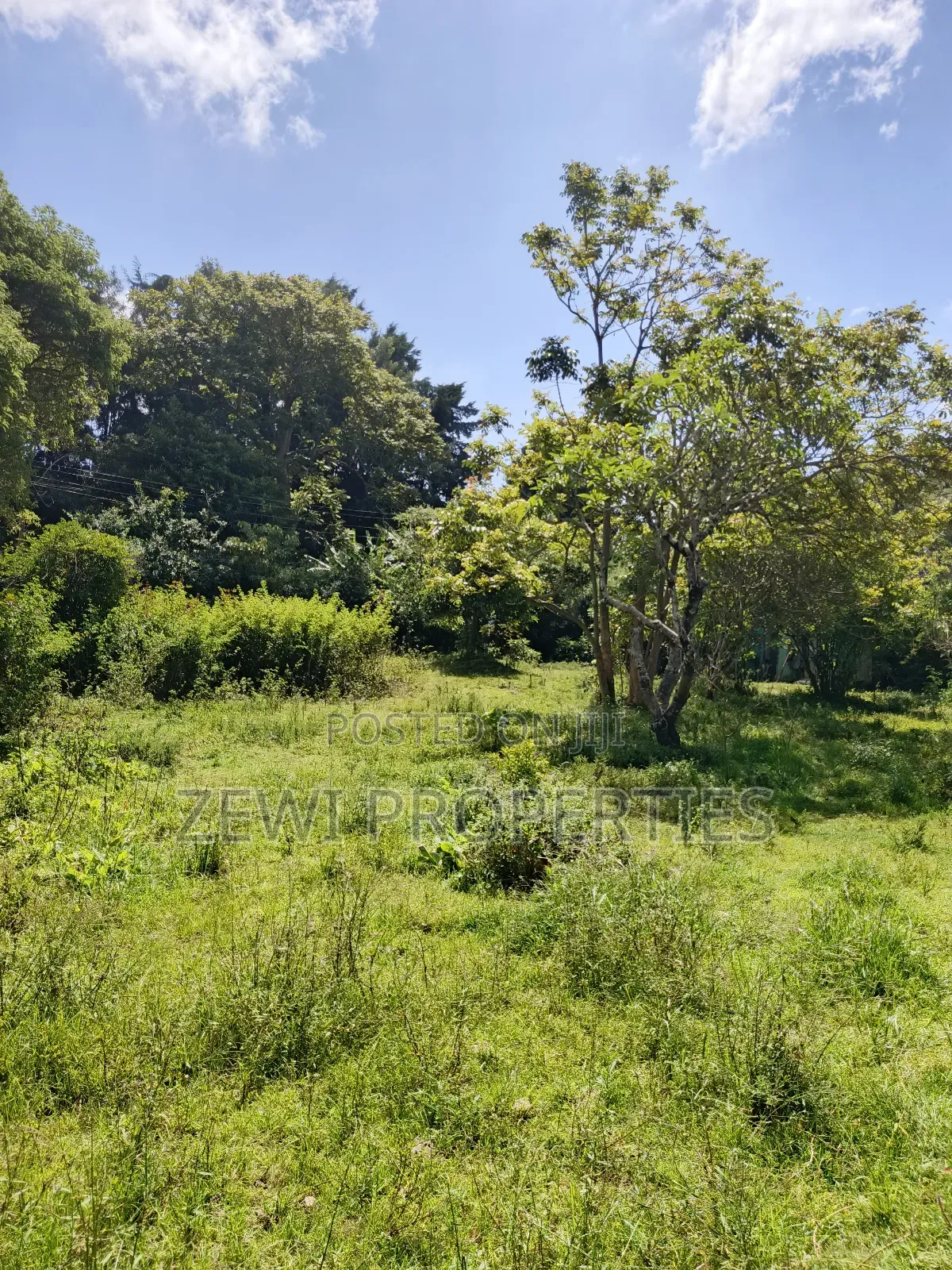 One Acre Karen in Karen