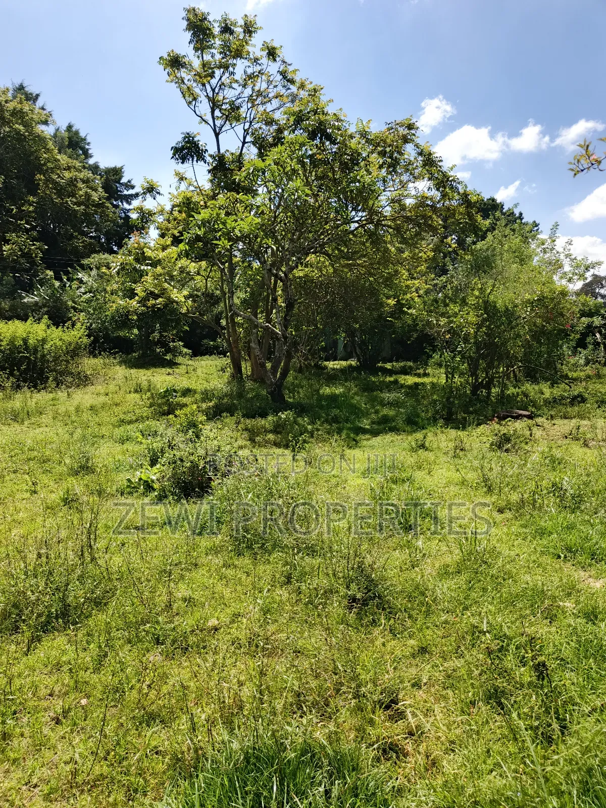 One Acre Karen in Karen