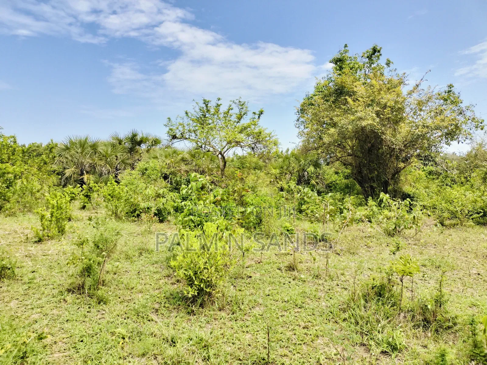 Muhaka Quarter Acre Plot in Ukunda