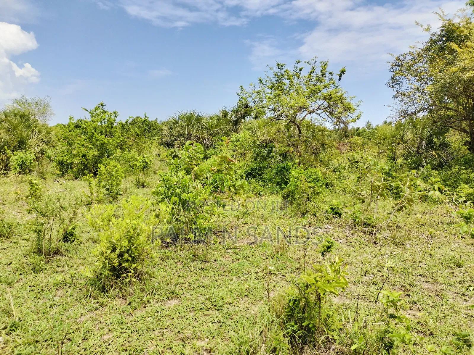 Muhaka Quarter Acre Plot in Ukunda