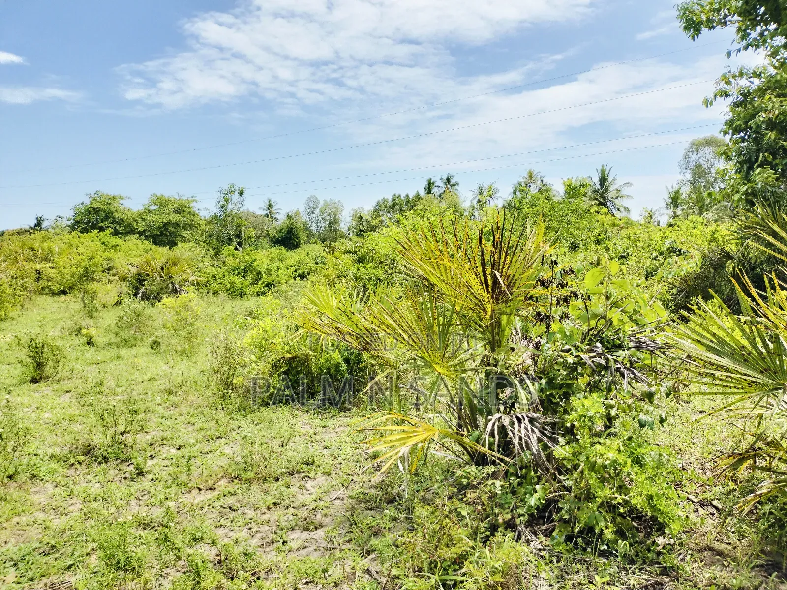 Muhaka Quarter Acre Plot in Ukunda