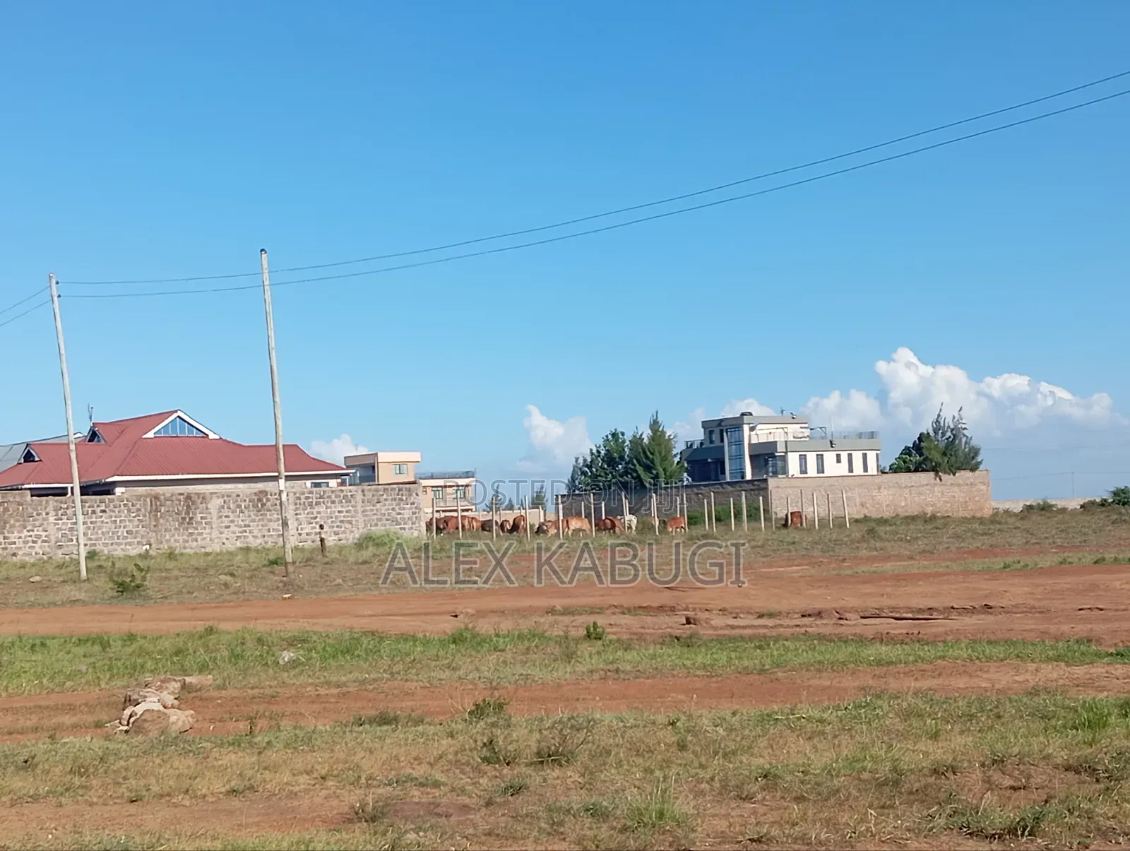 Plot for Sale Juja Mastore in Juja