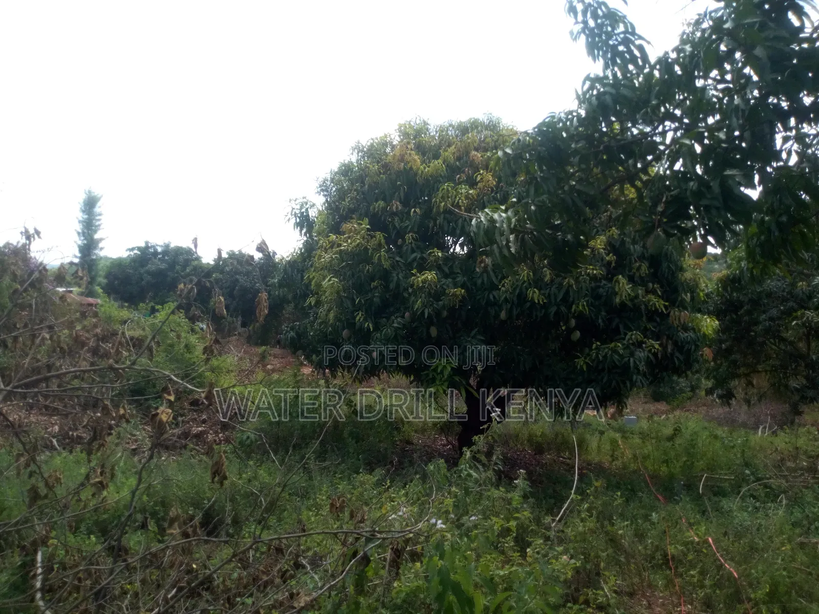 Lands for Sale Laikipia Kenya in Segera
