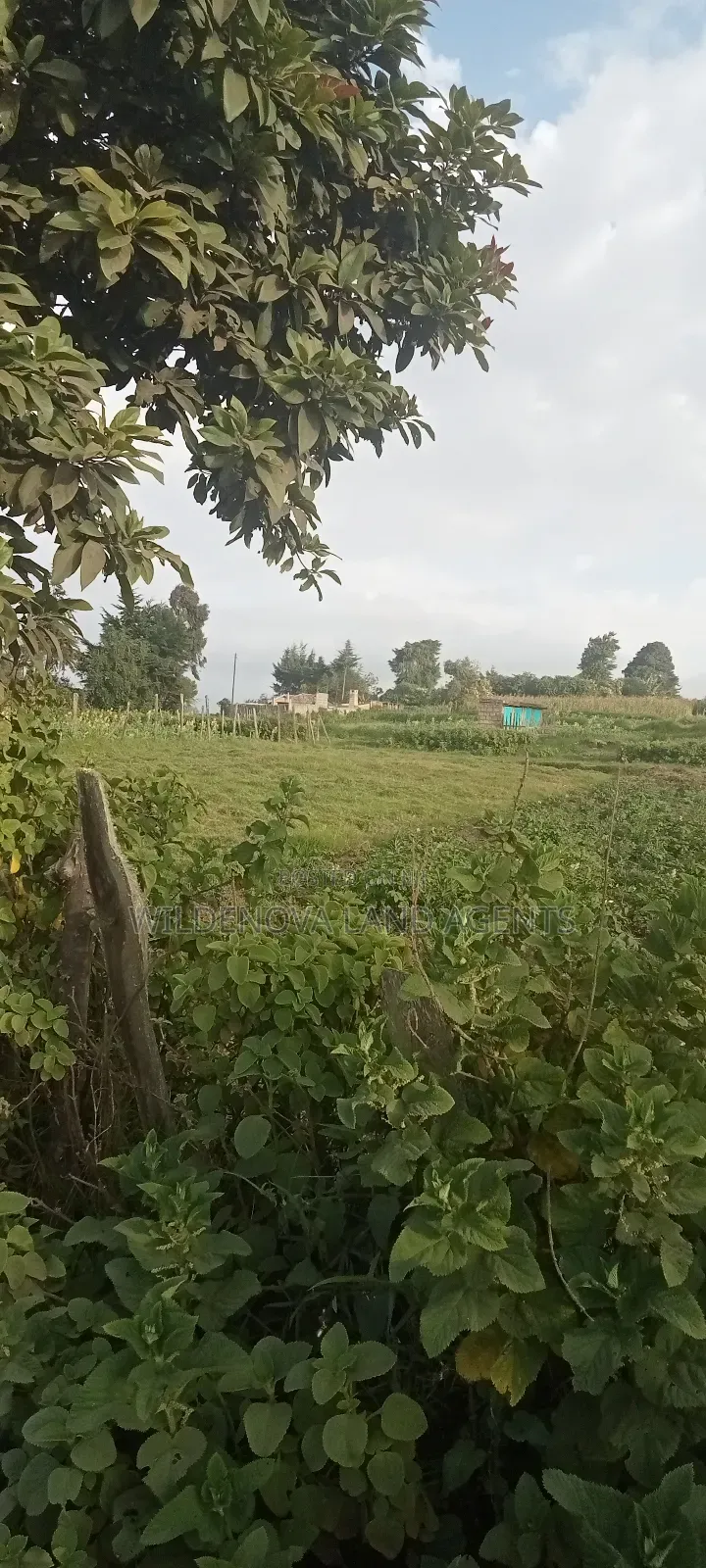 Land on Sale at Flyover Kinangop in Magumu