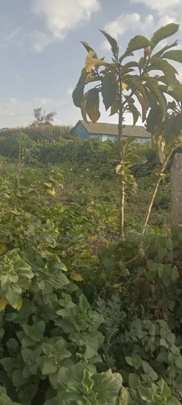 Land on Sale at Flyover Kinangop in Magumu