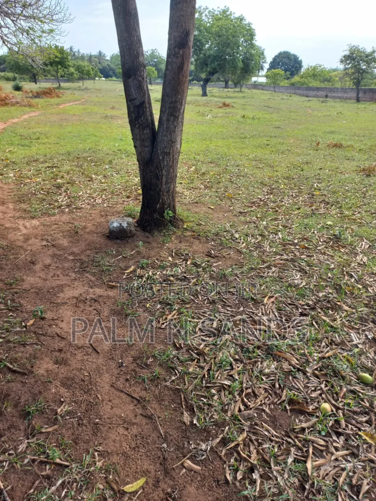 Diani Airport View Quarter Acre Plots in Ukunda