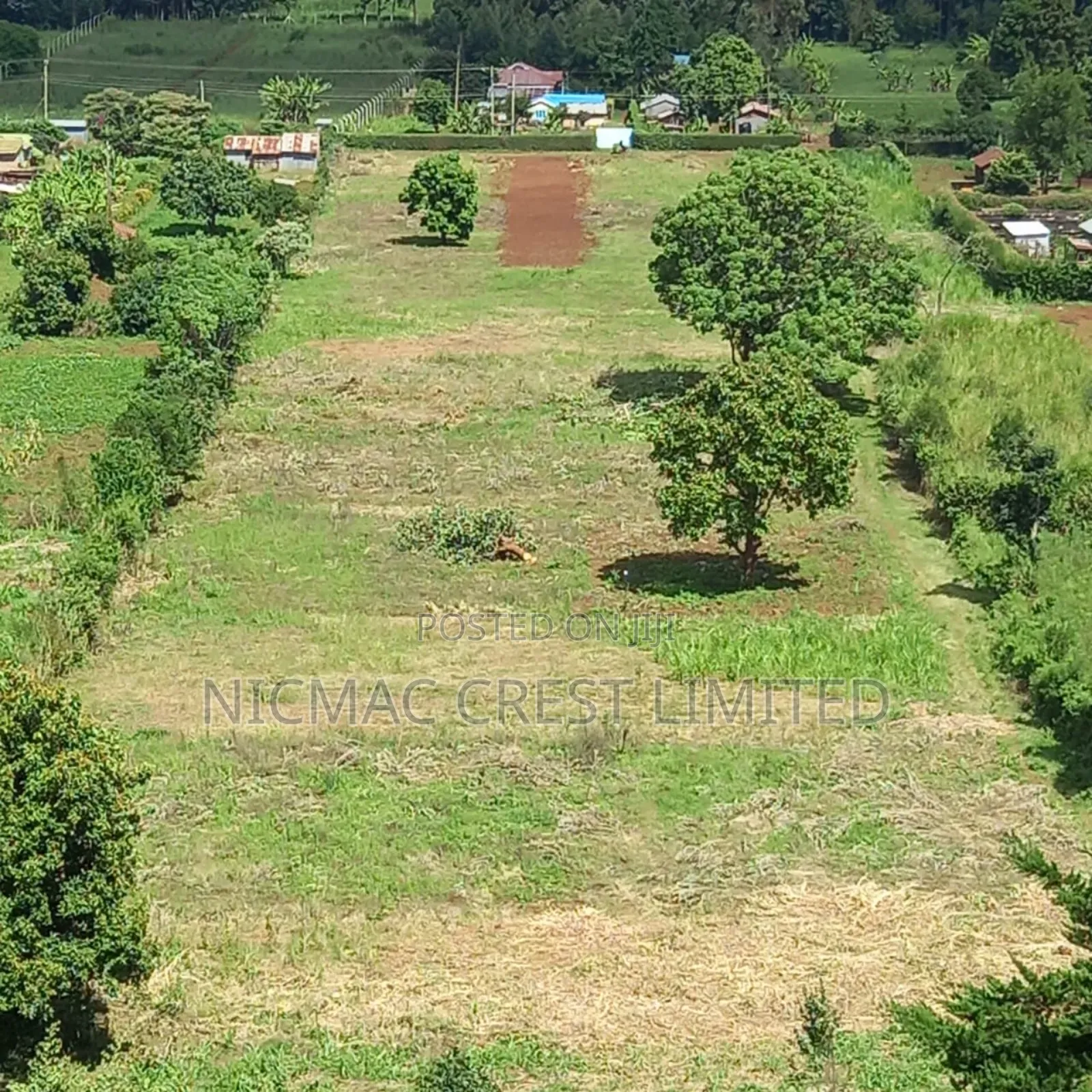 Plots for Sale in Rironi Near Tilisi in Limuru