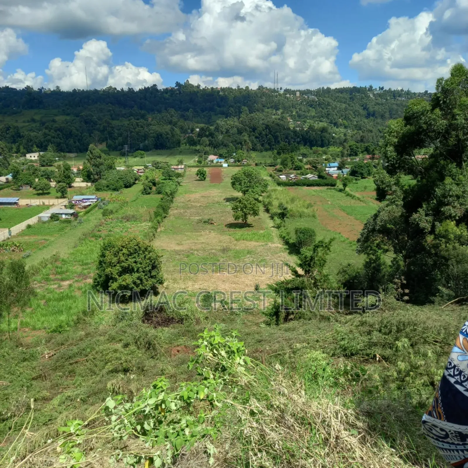Plots for Sale in Rironi Near Tilisi in Limuru