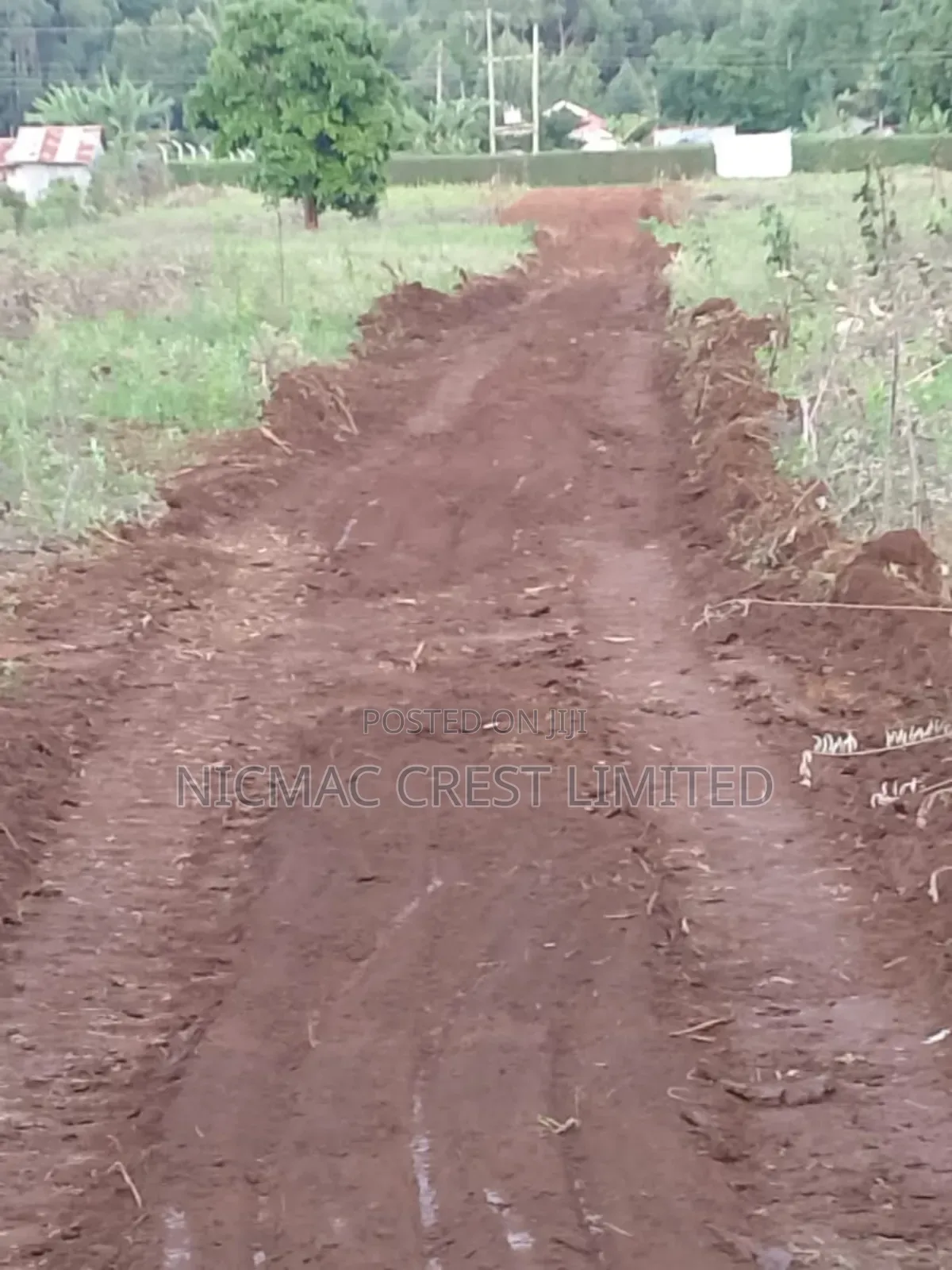 Plots for Sale in Rironi Near Tilisi in Limuru