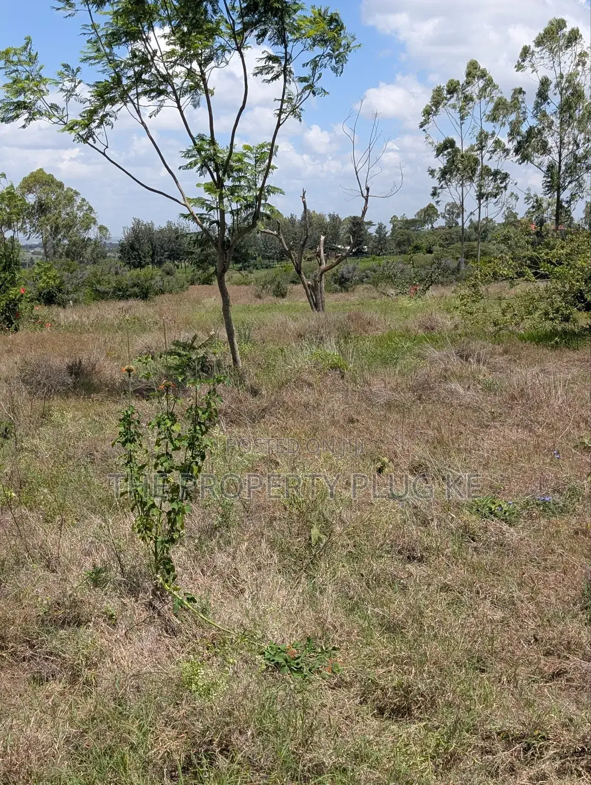 50 by 100 Plots for Sale in Kitengela in Kitengela