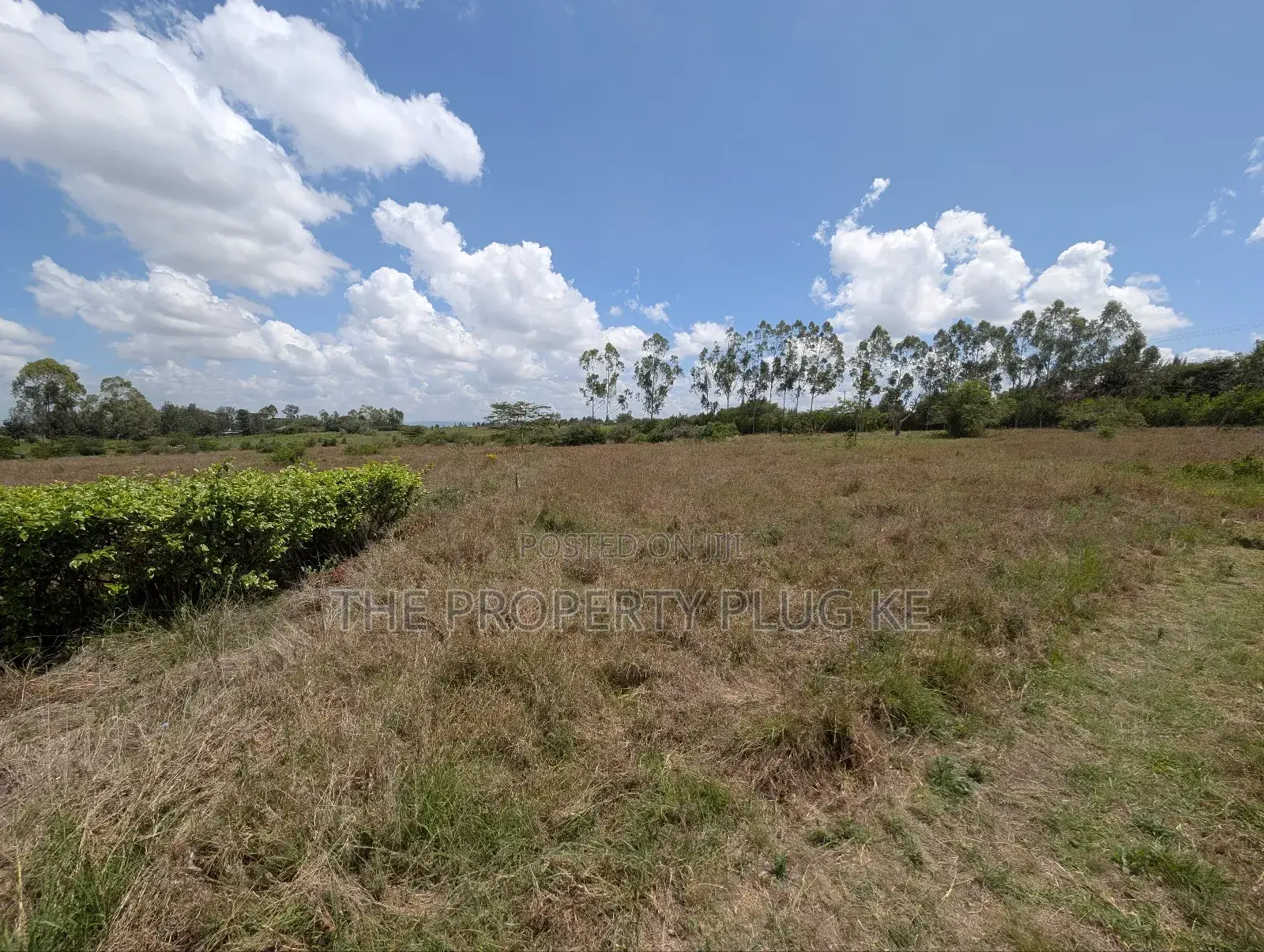 50 by 100 Plots for Sale in Kitengela in Kitengela