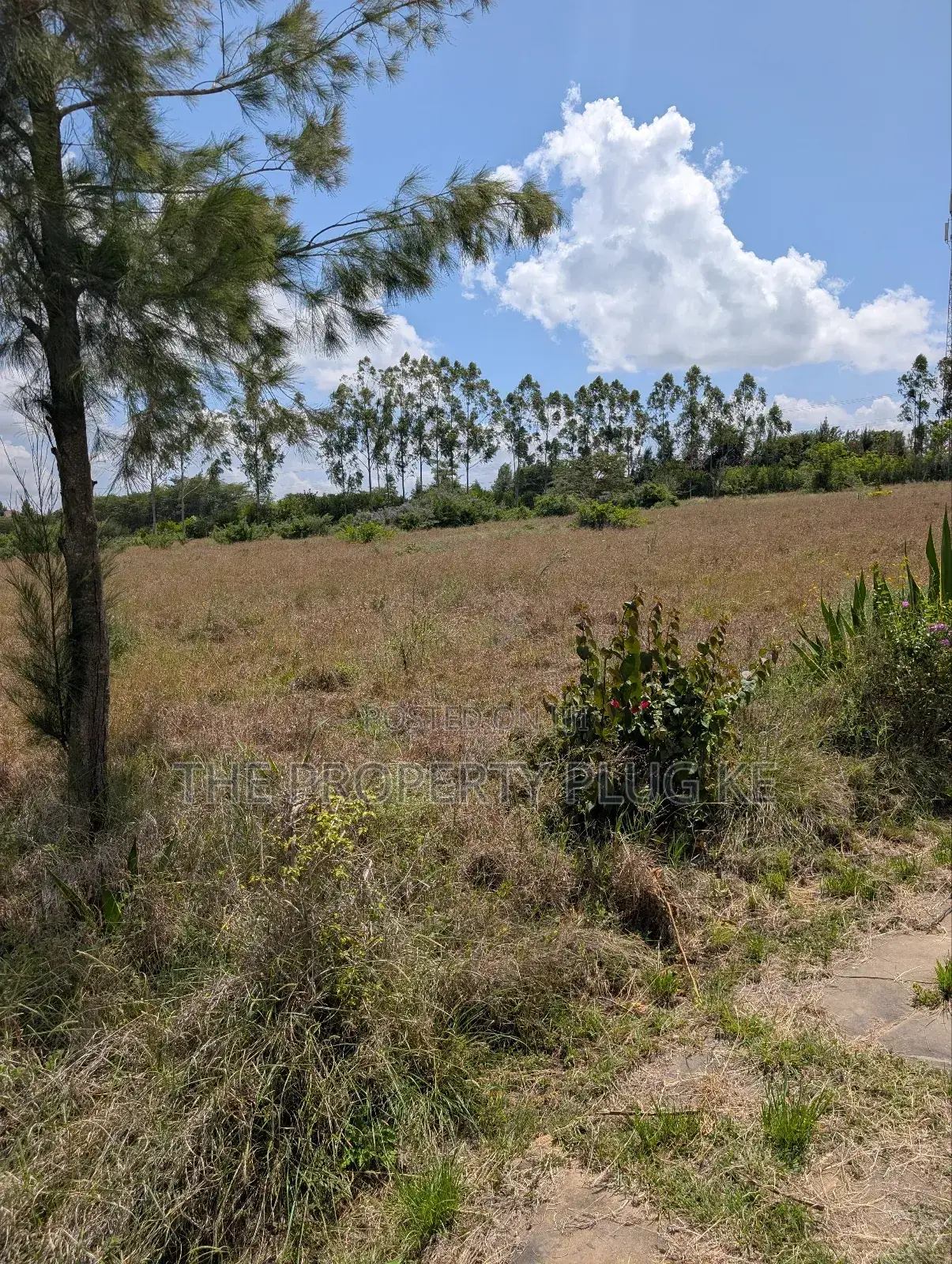 50 by 100 Plots for Sale in Kitengela in Kitengela