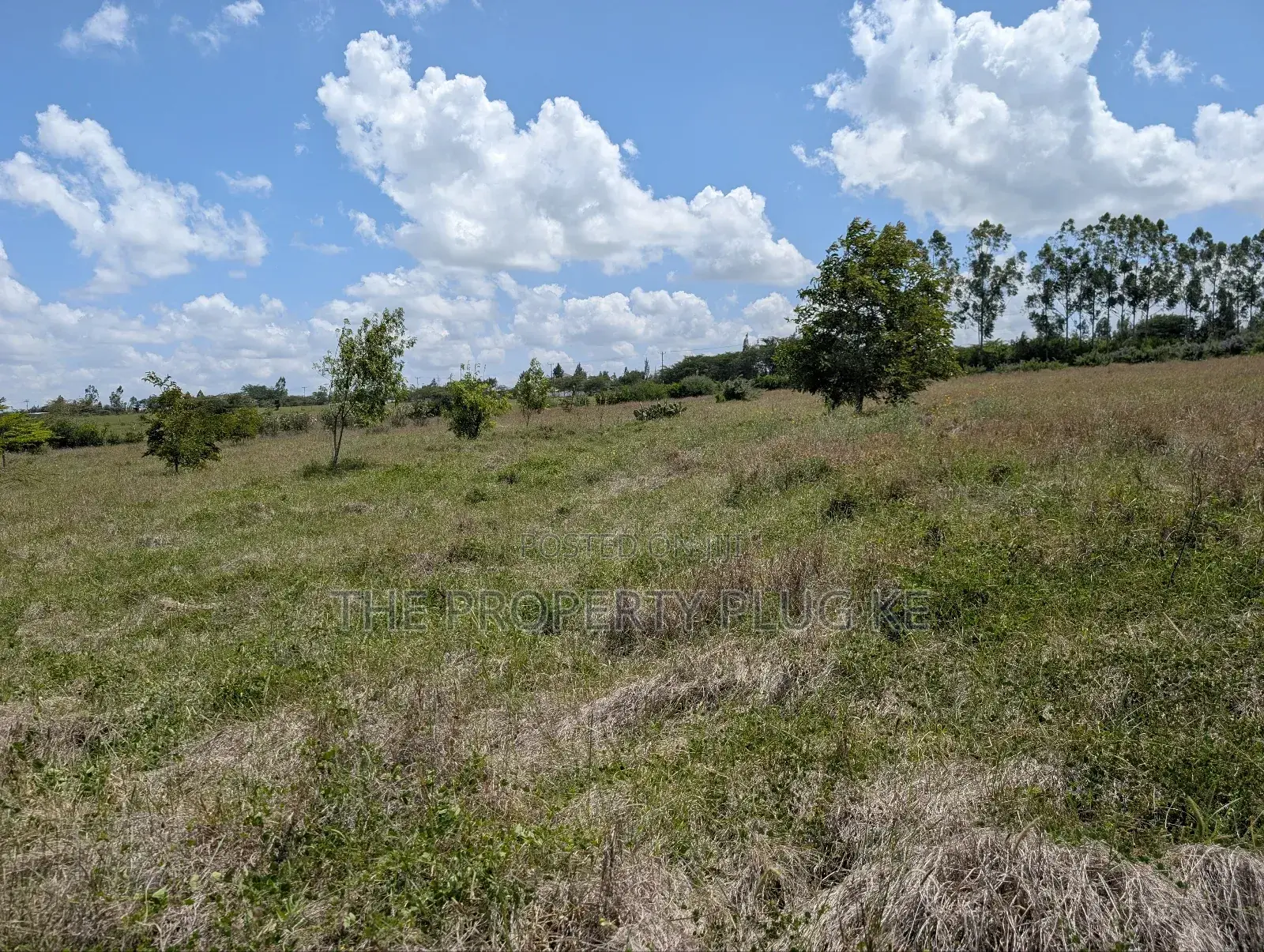 50 by 100 Plots for Sale in Kitengela in Kitengela