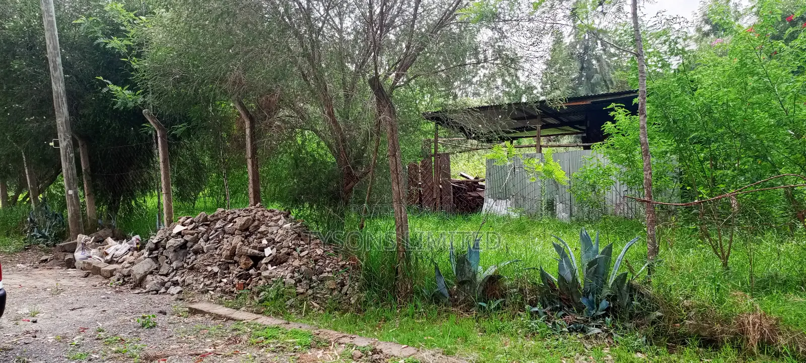 Residential Land in Thome in Thome