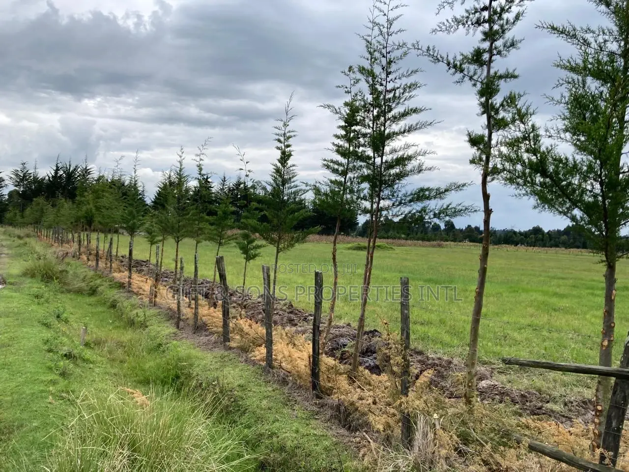 4acres for Sale in Kinangop Nyandarua County in Murungaru