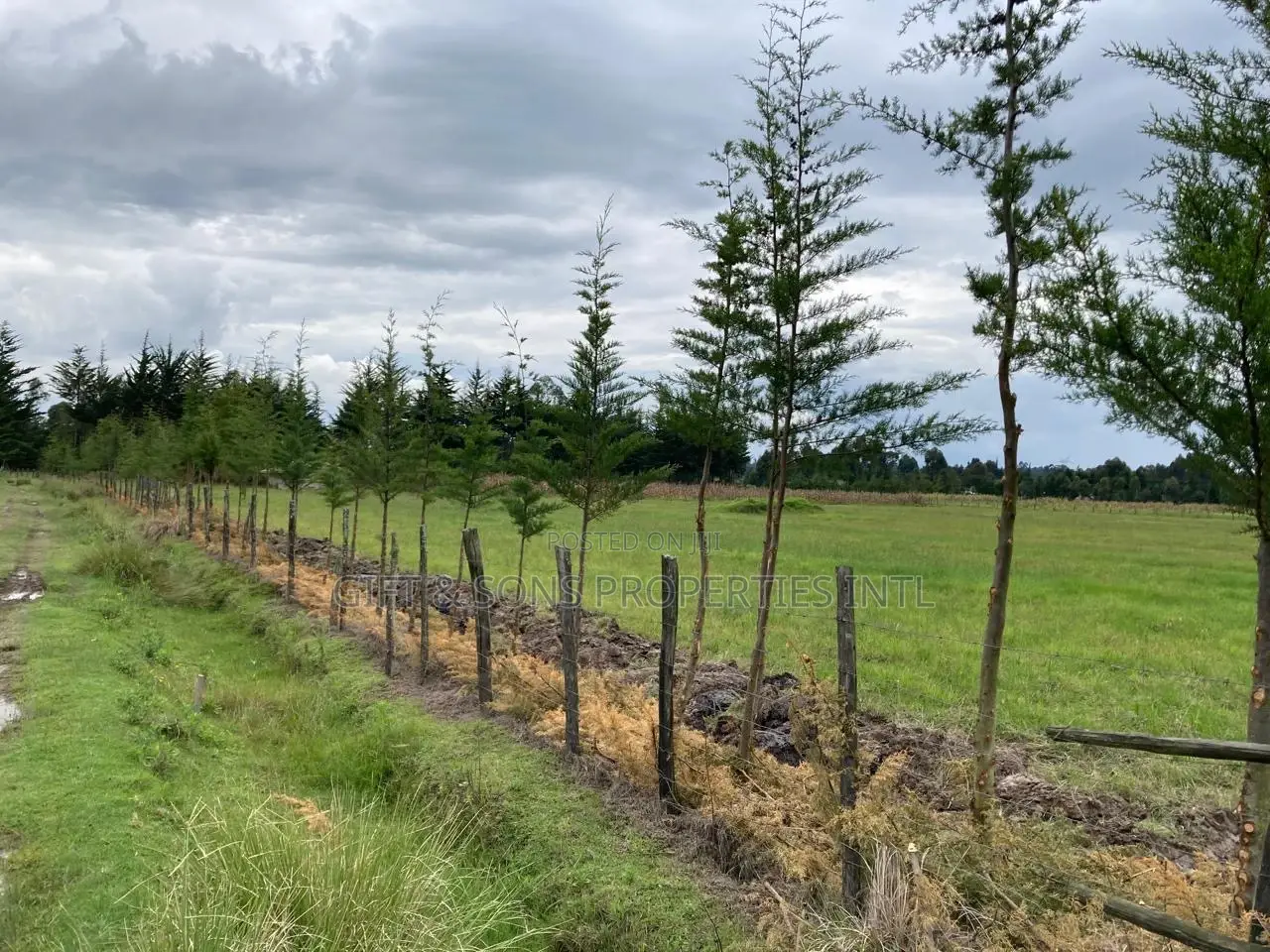 4acres for Sale in Kinangop Nyandarua County in Murungaru