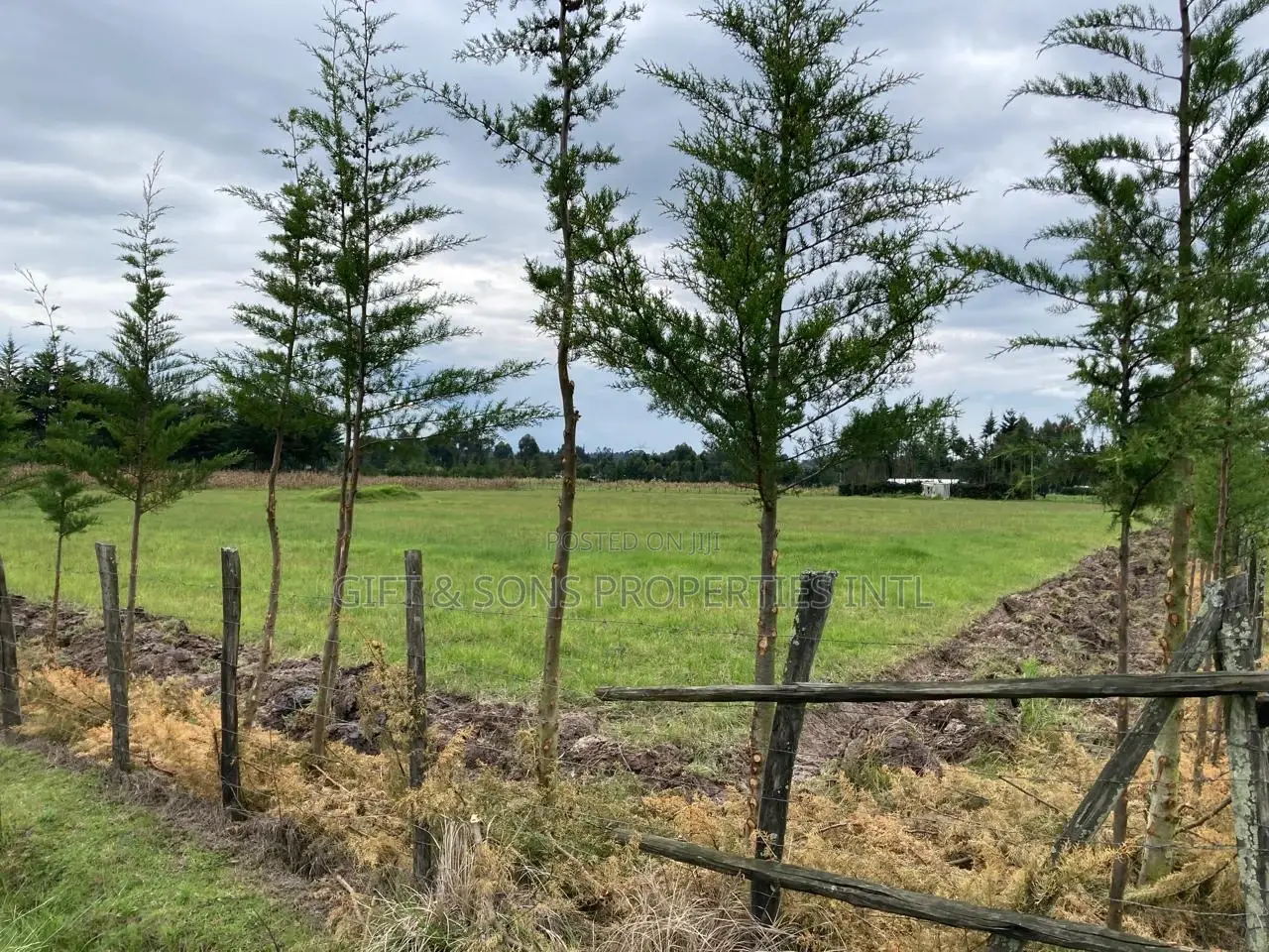4acres for Sale in Kinangop Nyandarua County in Murungaru