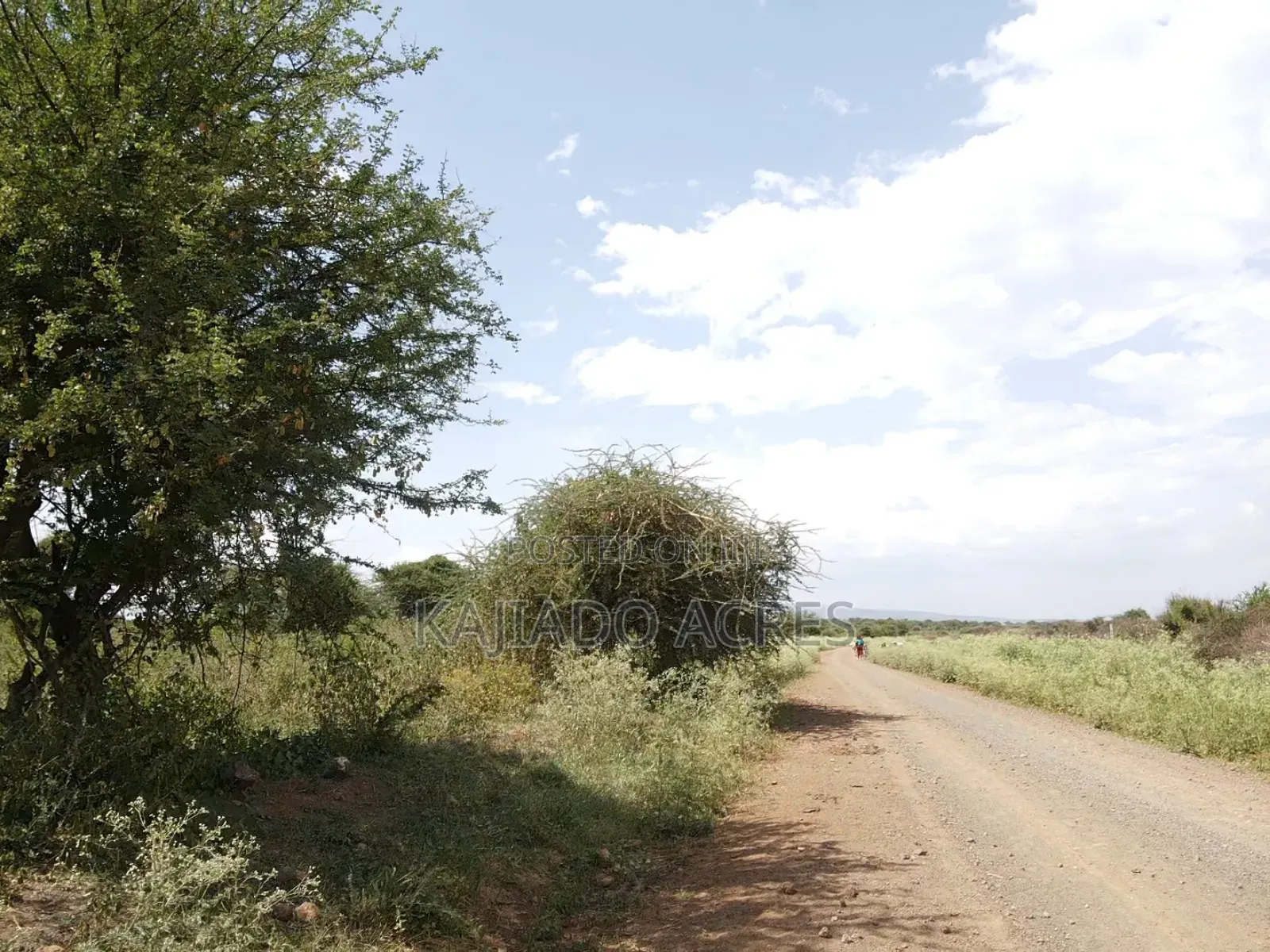 Priced to Go 16 Acres Olentoko at Per Acre in Ewaso Kendong