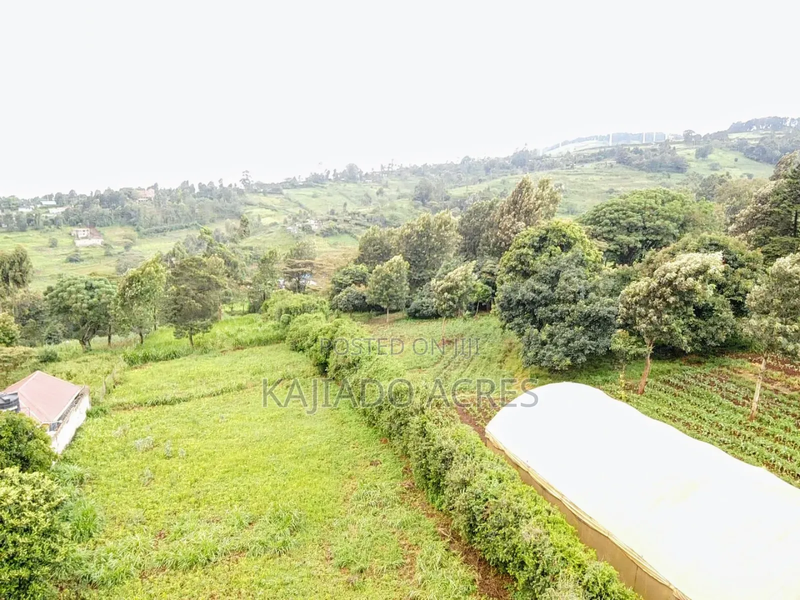 Prime 1 Acre Lemiso Road at 21m (Priced to Go,Last Price) in Ngong