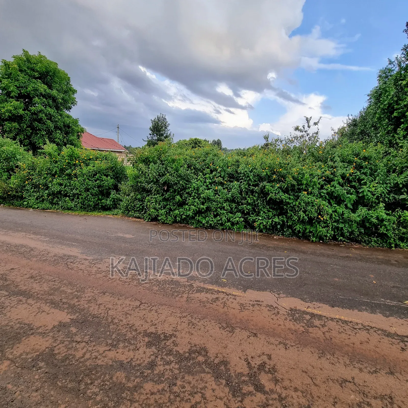Prime 1 Acre Lemiso Road at 21m (Priced to Go,Last Price) in Ngong