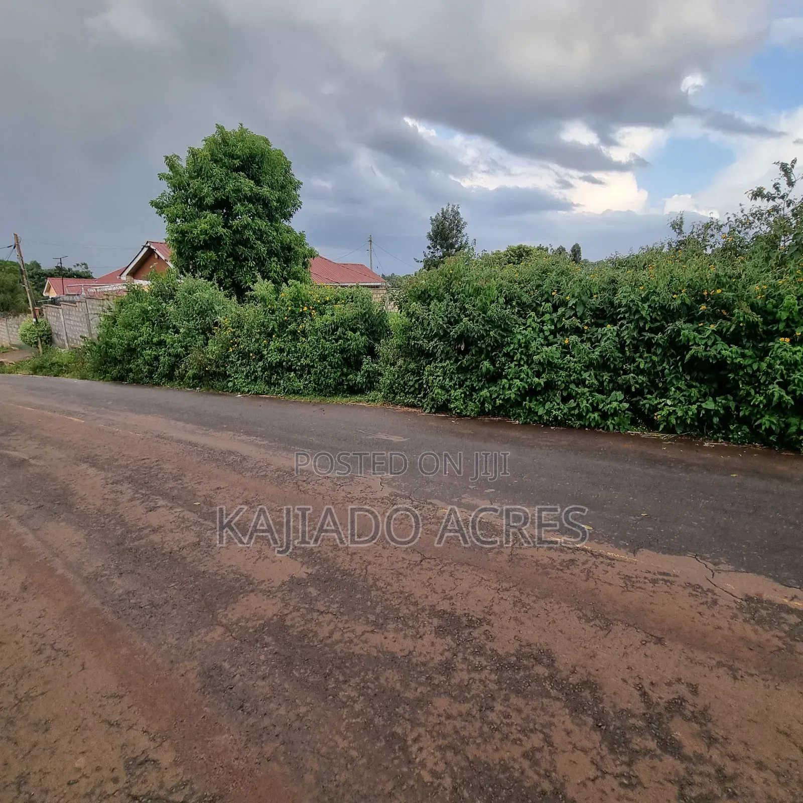 Prime 1 Acre Lemiso Road at 21m (Priced to Go,Last Price) in Ngong