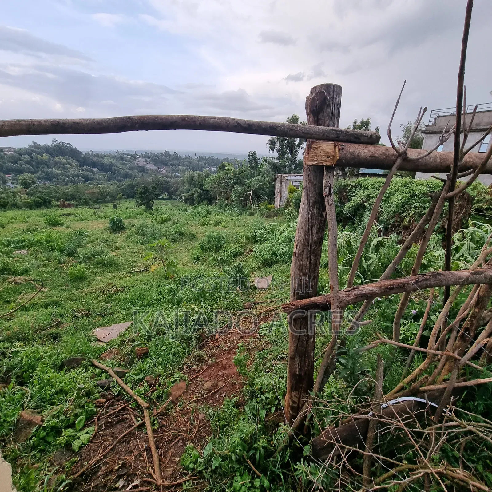 2 Acre Lemiso Road at 20m Per Acre in Kibiku