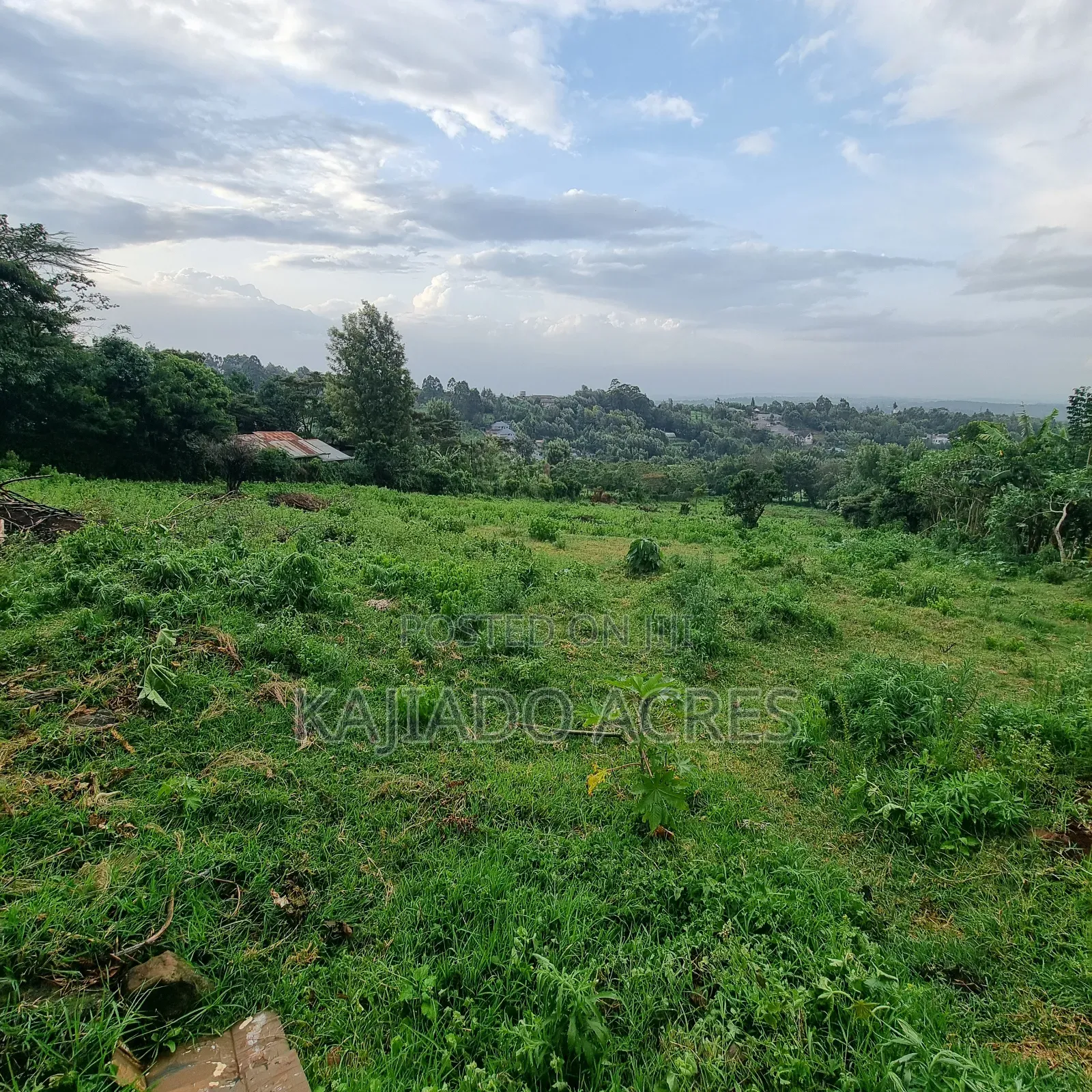 2 Acre Lemiso Road at 20m Per Acre in Kibiku