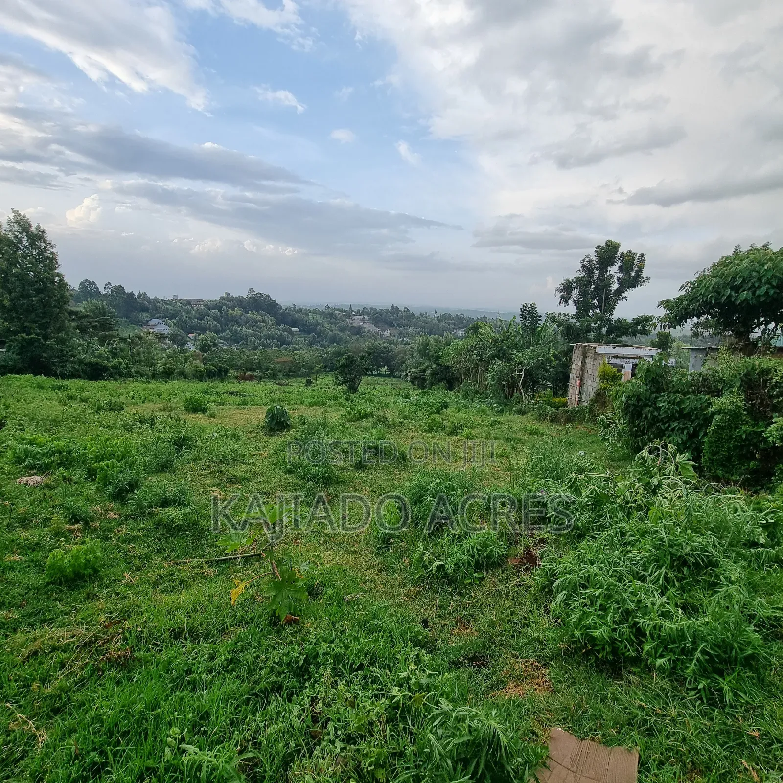2 Acre Lemiso Road at 20m Per Acre in Kibiku