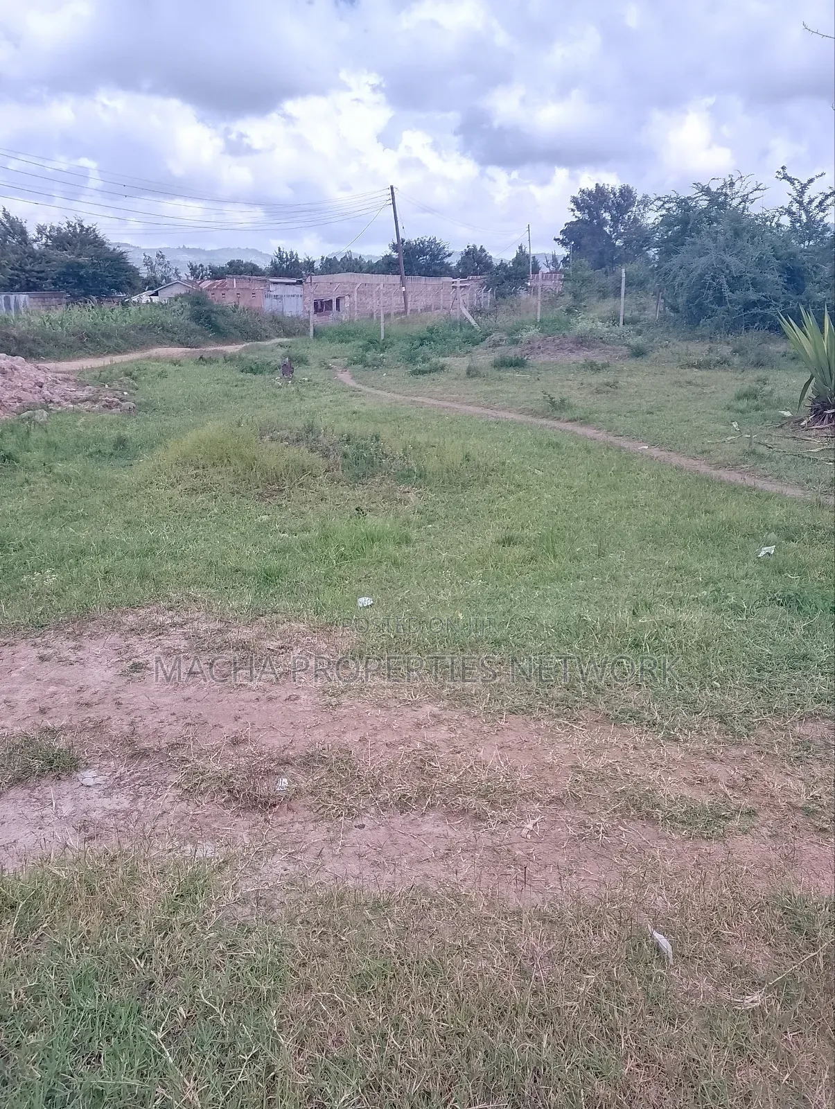 Plot 50by 100ft at Machakos -Machakos (Teachers College) in Machakos Town