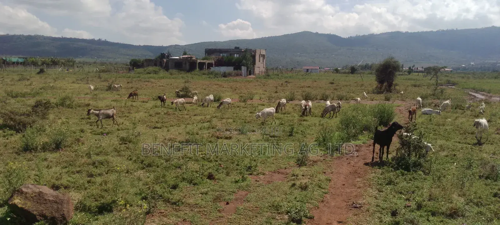 2 Parcels of Quarter Acres for Sale in Ngong Kimuka Town in Ngong