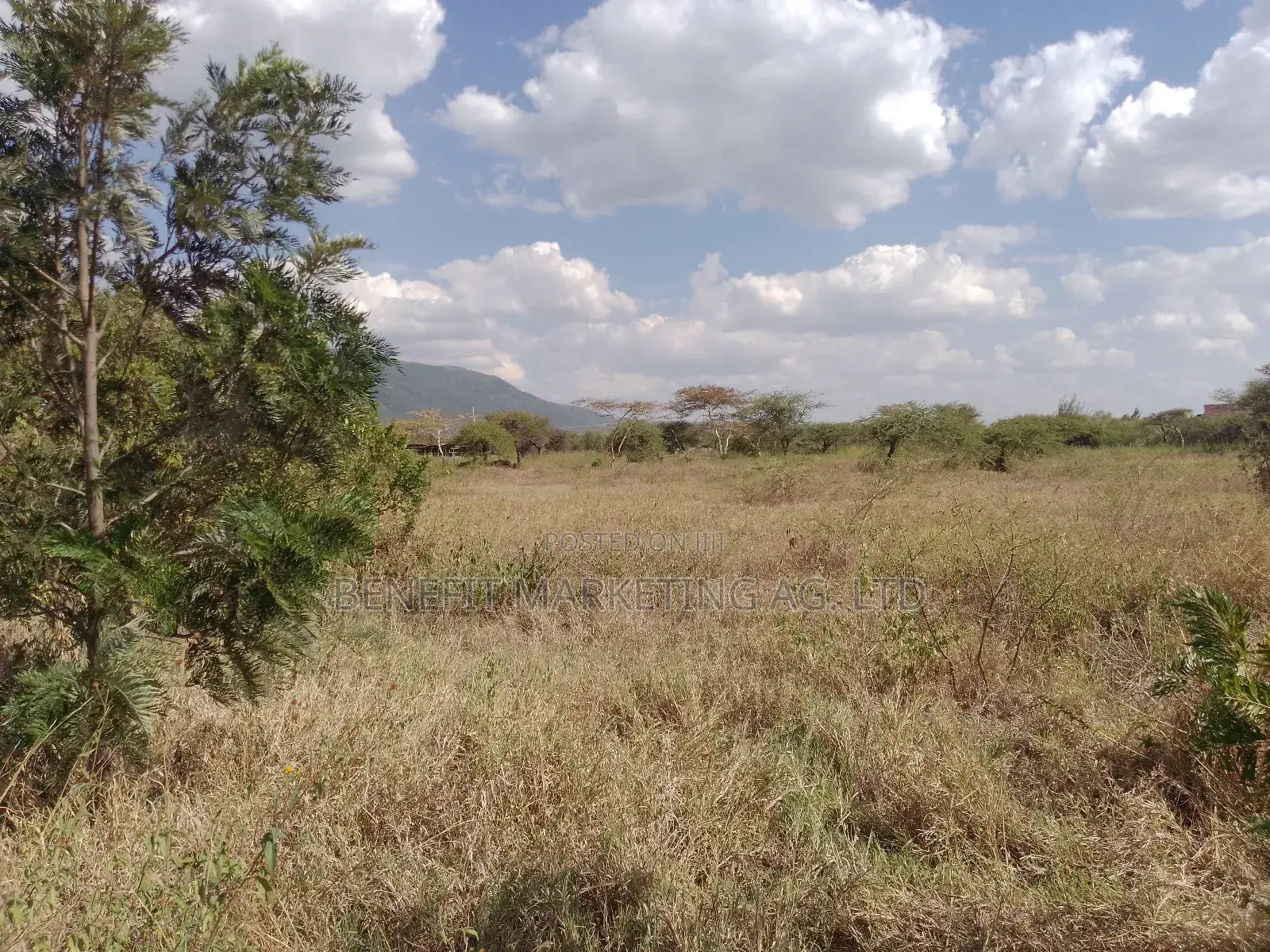 50*100 Plots for Sale in Ngong Kimuka in Ngong