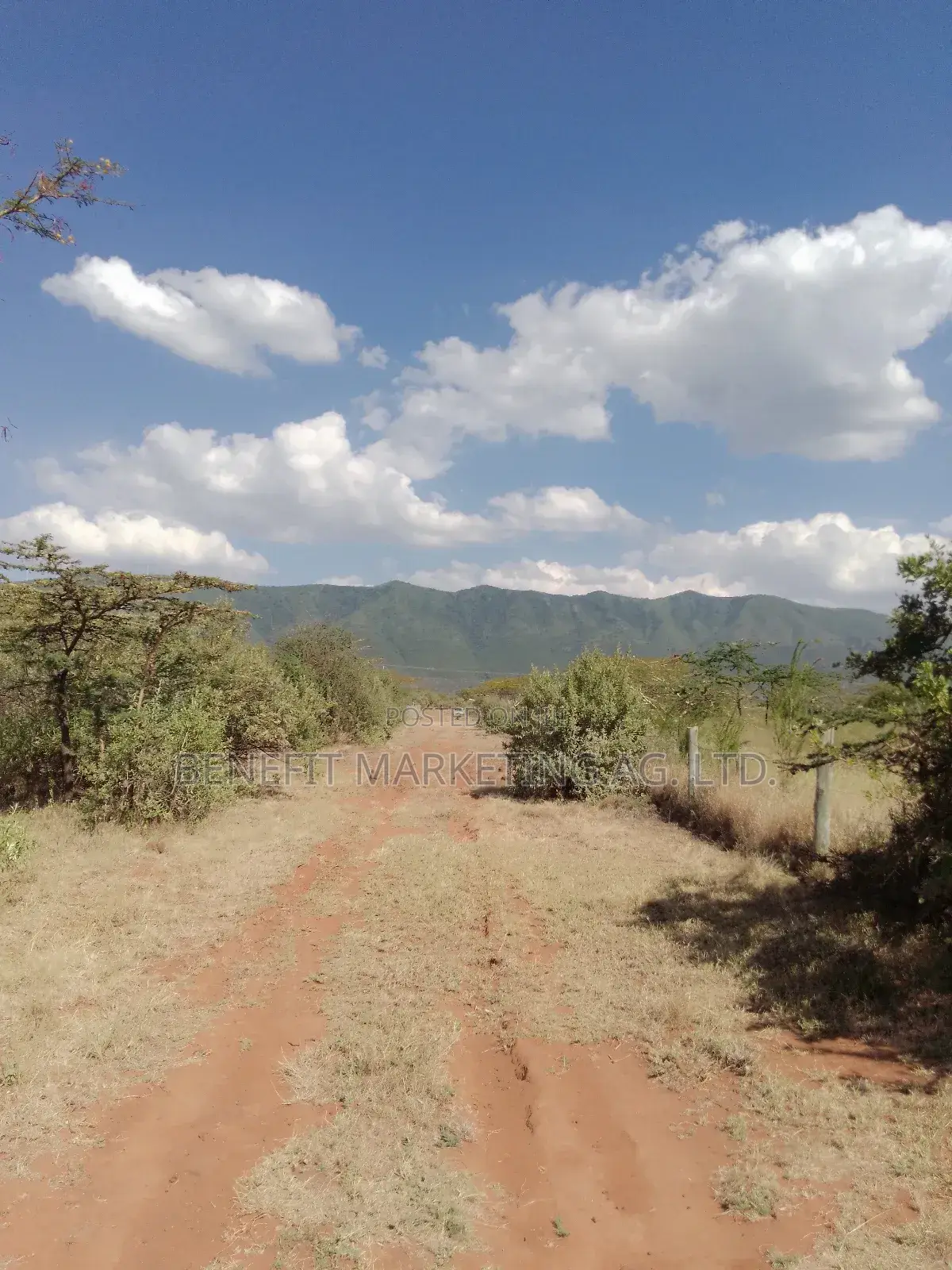 50*100 Plots for Sale in Ngong Kimuka in Ngong