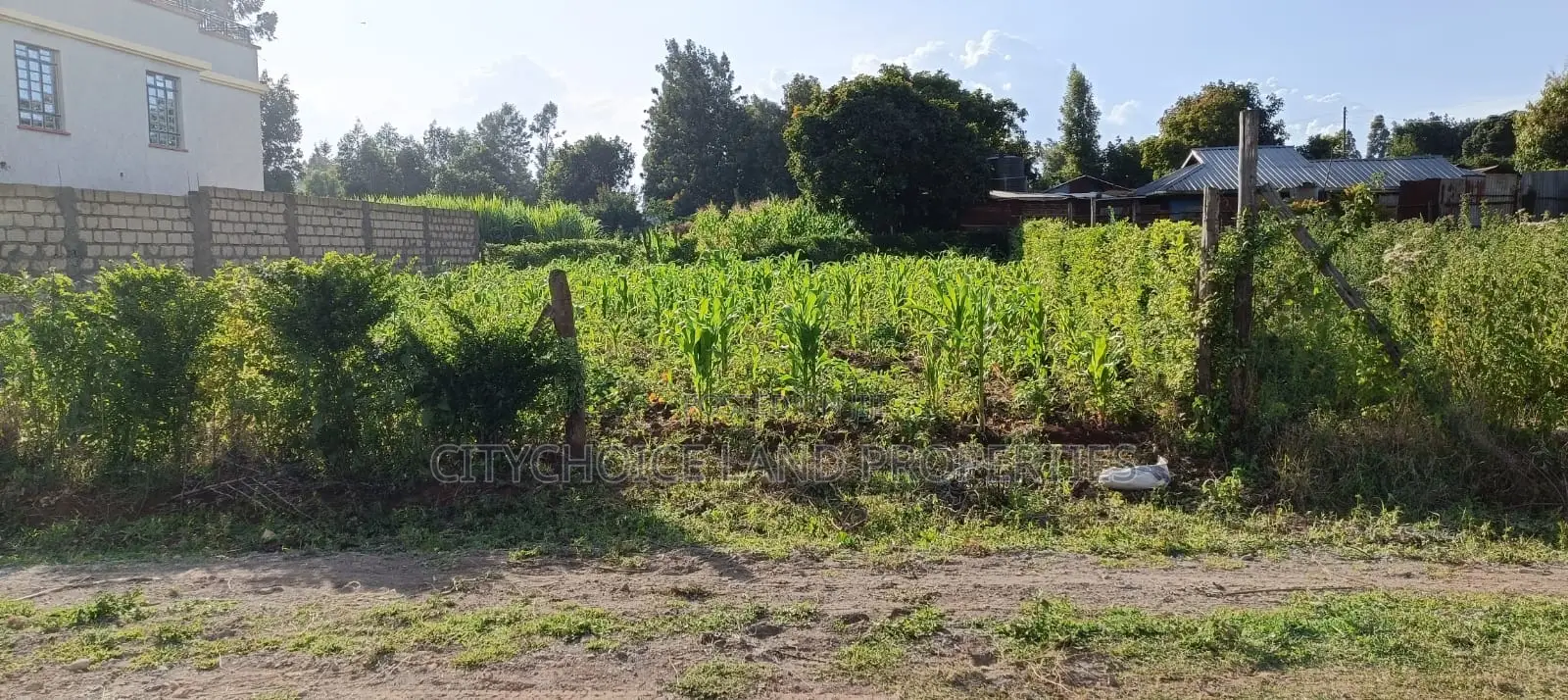 Residential Plots for Sale in Gikambura in Karai