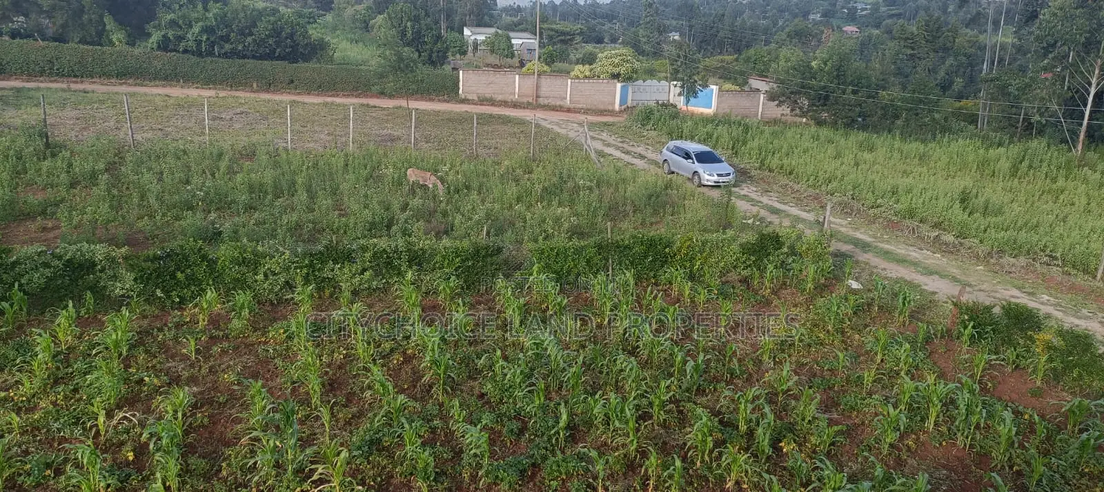 Residential Plots for Sale in Gikambura in Karai