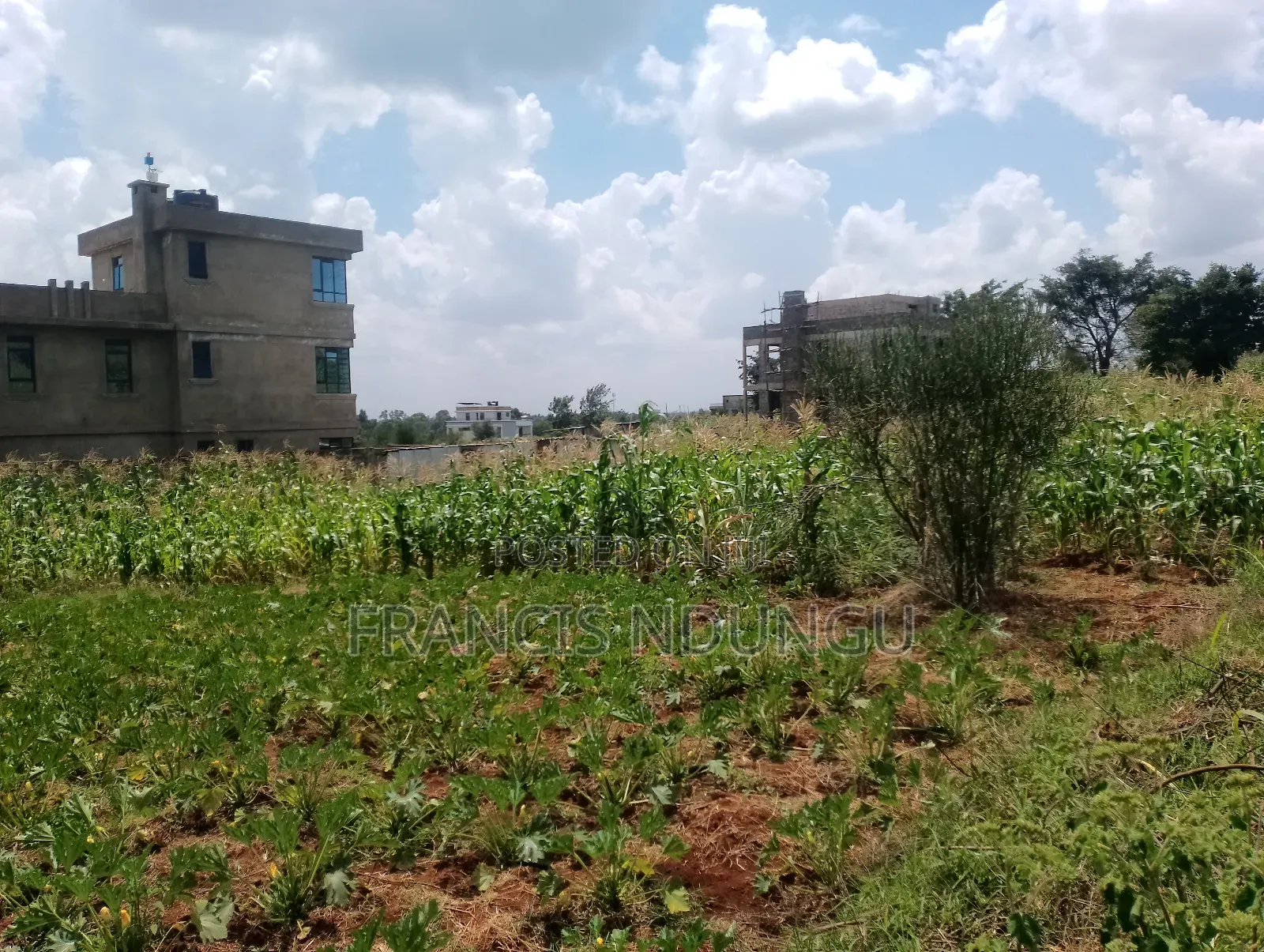 Residential Plot for Sale 5km From Kiambu Town in Riabai