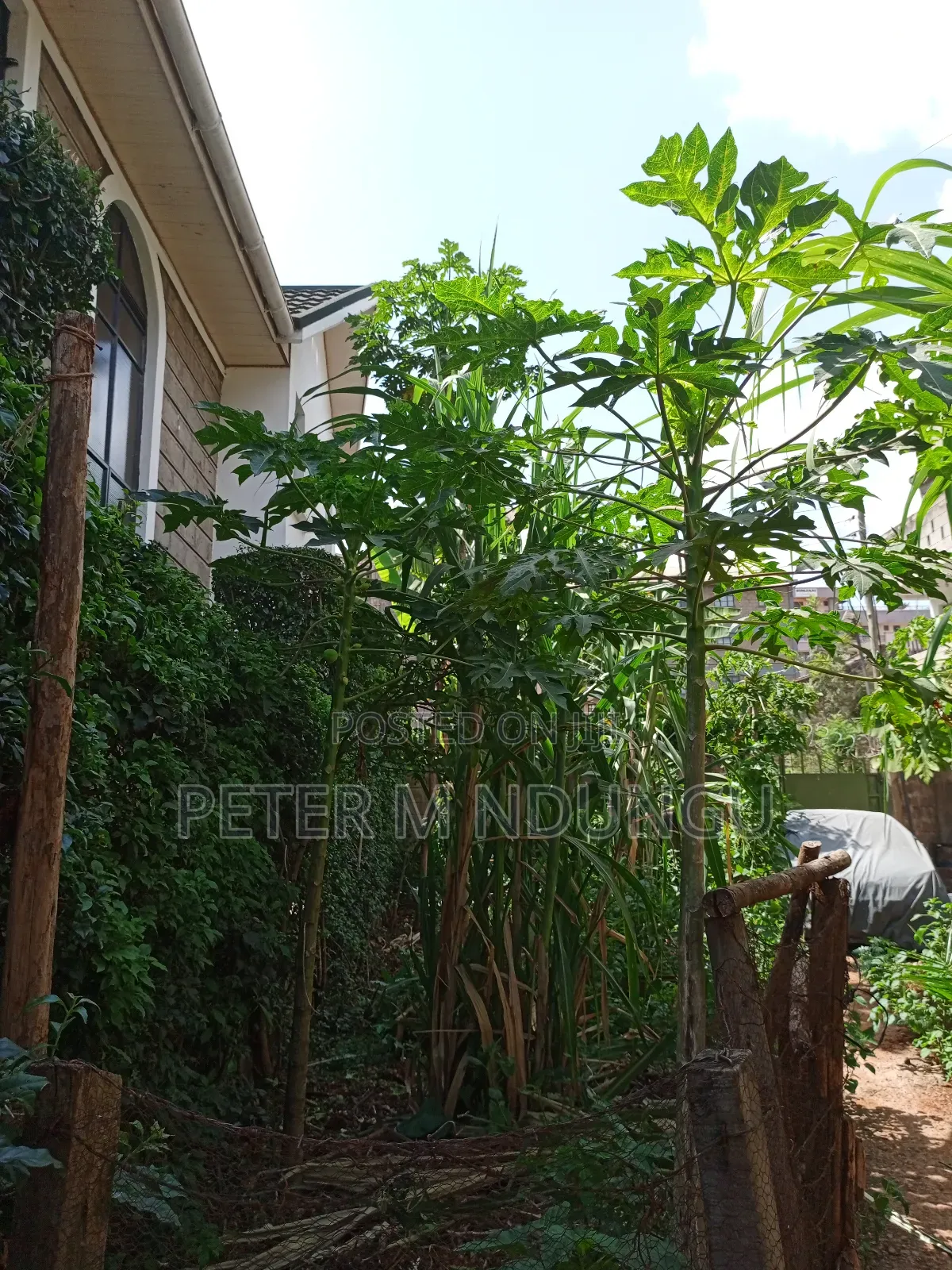 Prime Plot 0.0272 Hectares, Seasons,Kasarani in Seasons Estate