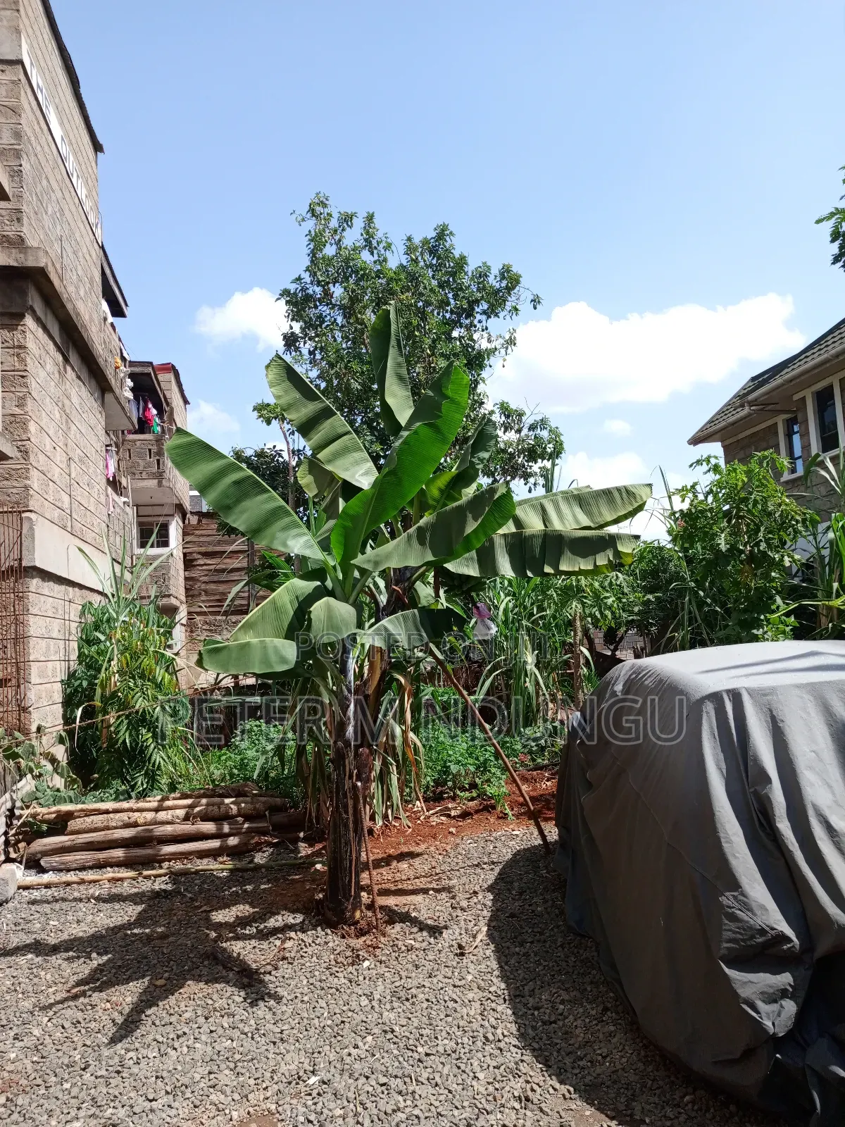 Prime Plot 0.0272 Hectares, Seasons,Kasarani in Seasons Estate