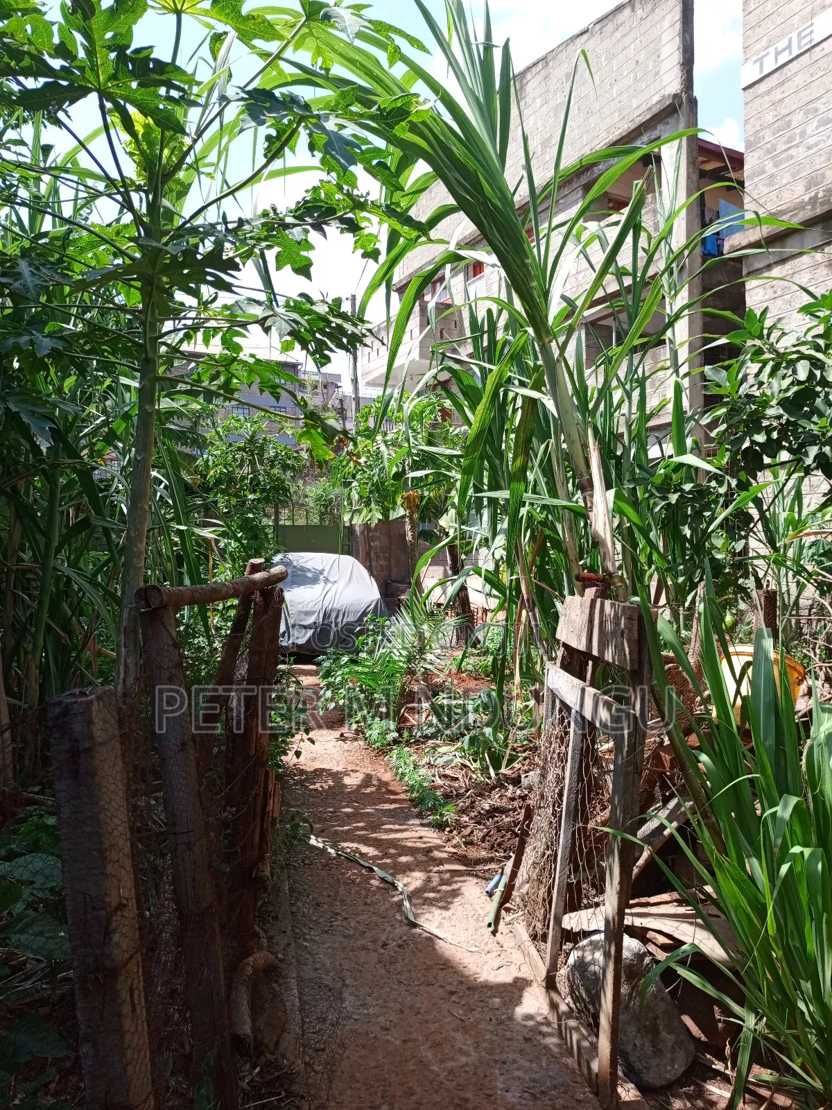 Prime Plot 0.0272 Hectares, Seasons,Kasarani in Seasons Estate