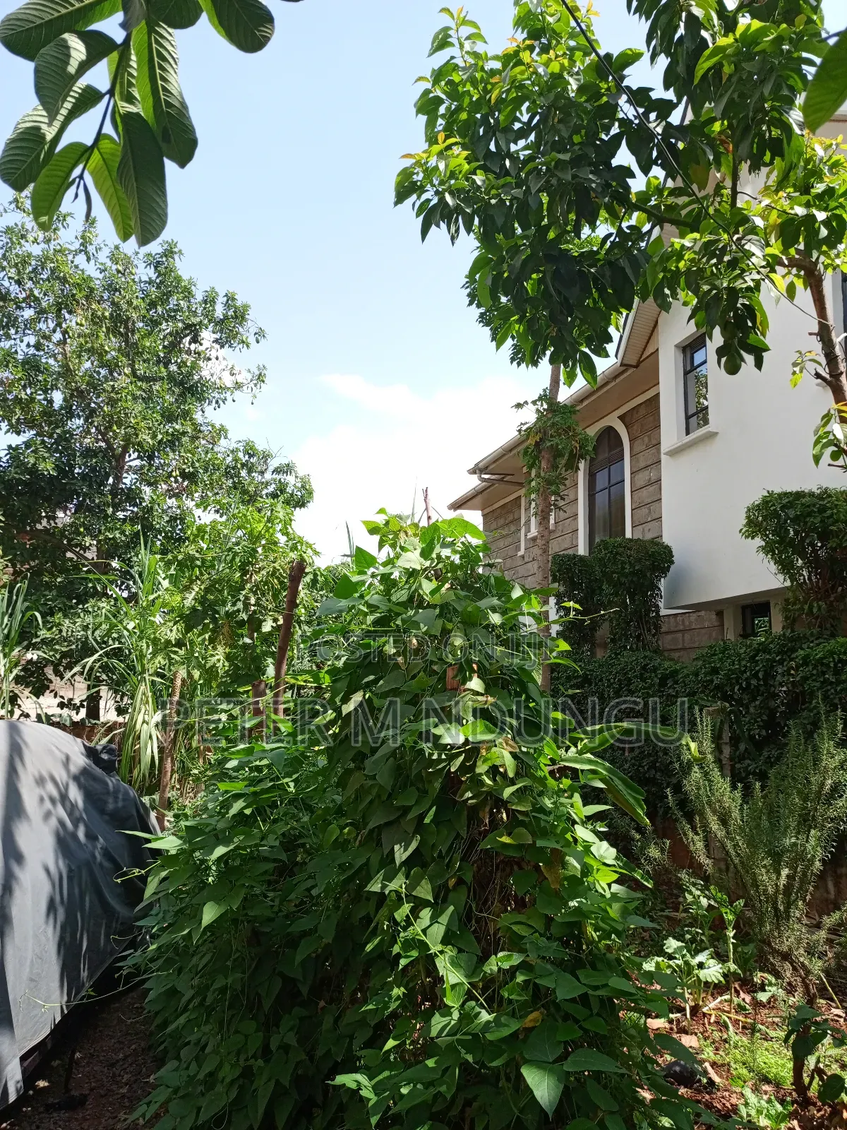 Prime Plot 0.0272 Hectares, Seasons,Kasarani in Seasons Estate