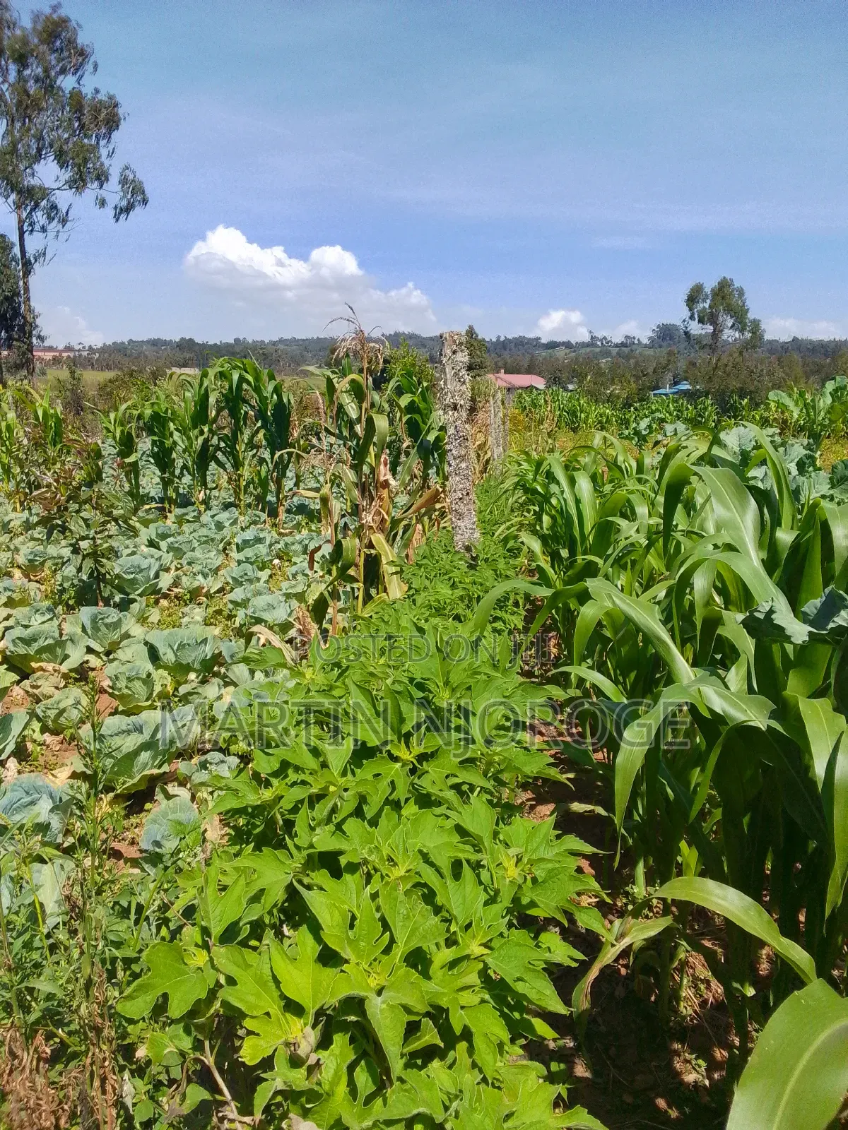 1⁄4 (100 by 100) Ihindu Market in Naivasha East