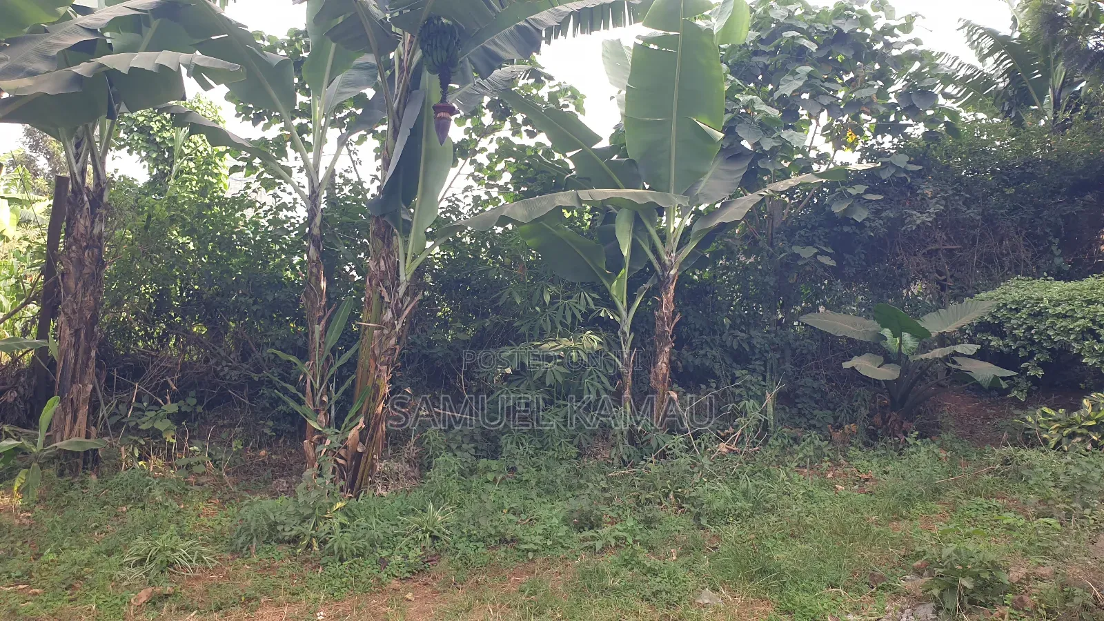 Thome, Mukima Drive, 1/2 Acre, Gated Community in Thome