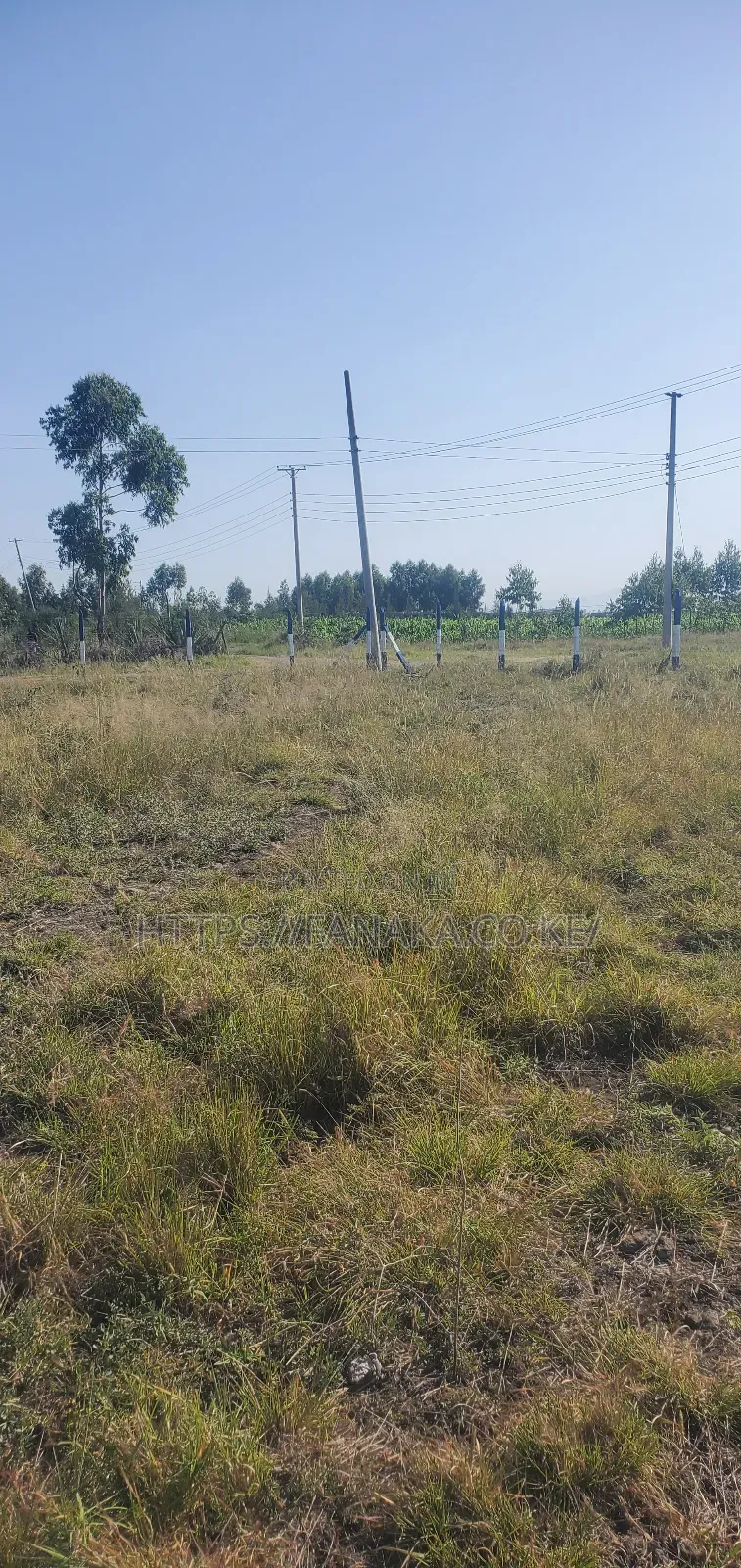 Plots in Kamakis ^Pww in Ruiru