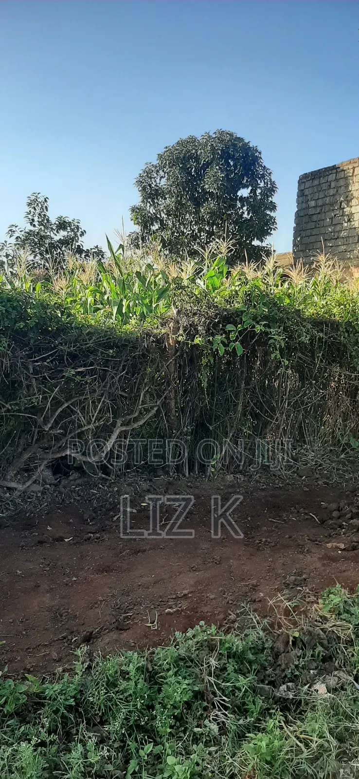Plot for Sale in Mugutha Opposite Pcea Mukuyu Church. in Ruiru