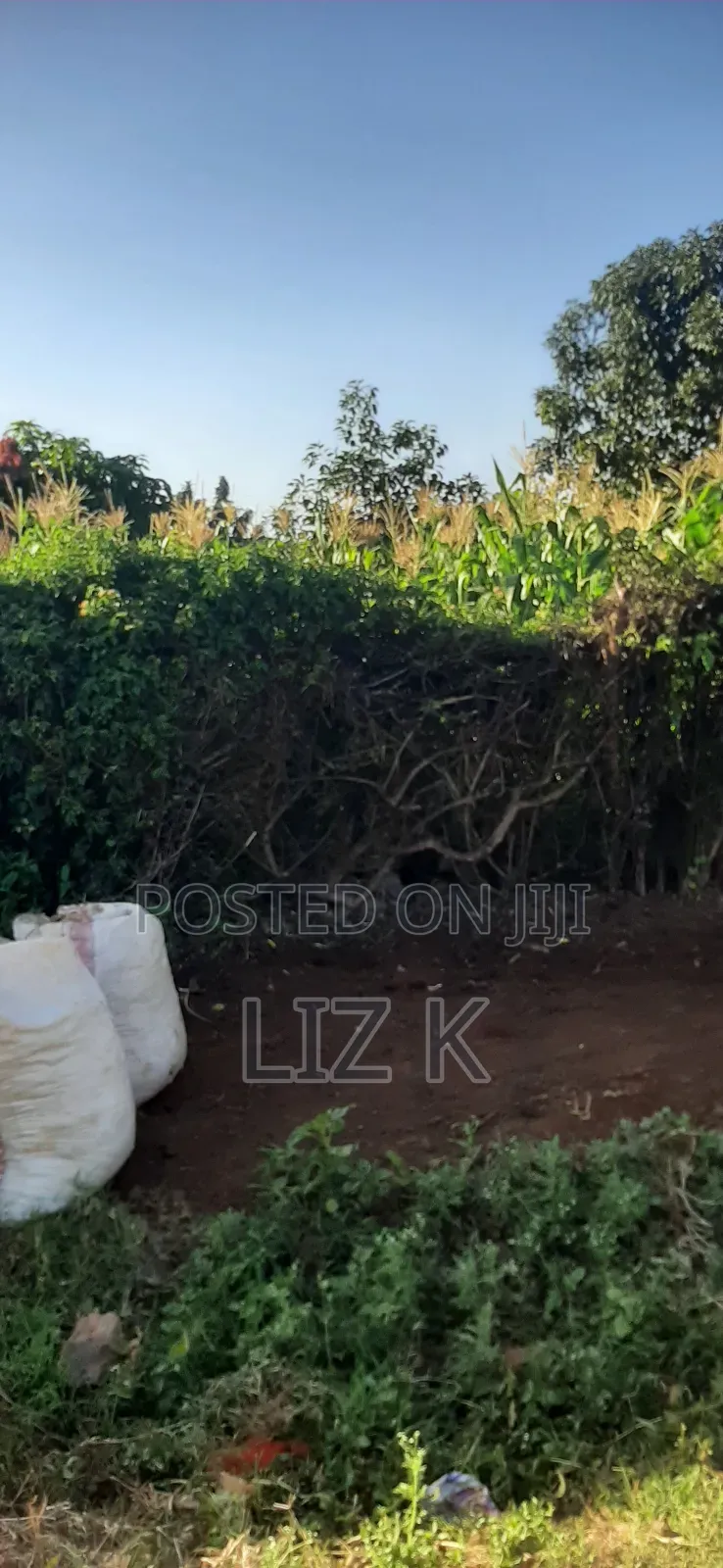 Plot for Sale in Mugutha Opposite Pcea Mukuyu Church. in Ruiru