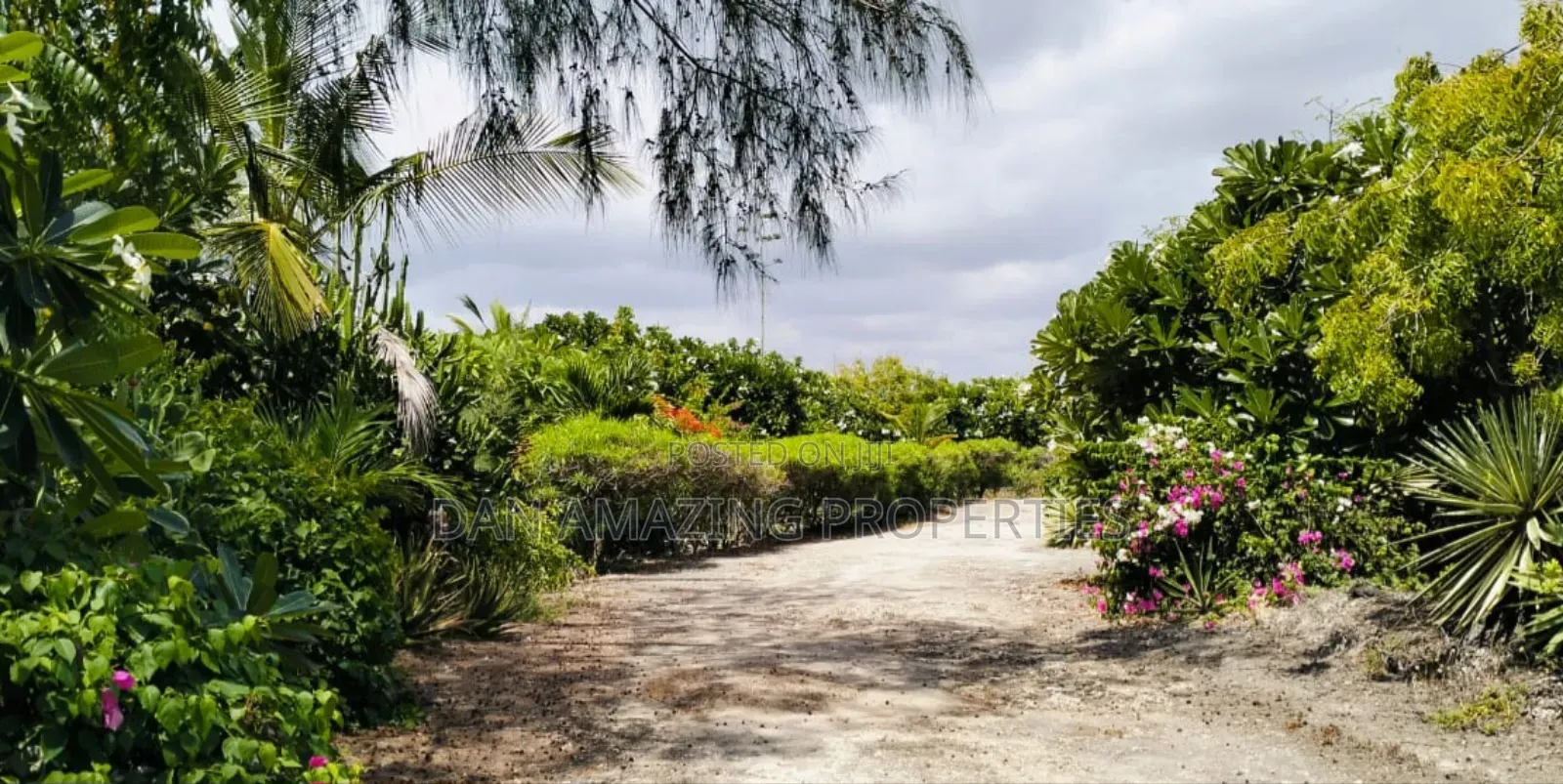 Furnished 5bdrm Villa in Watamu On 4 Acres for sale in Watamu