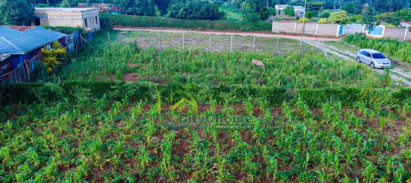 Prime Residential 50by100 Plot for Sale in Kikuyu Gikambura in Karai