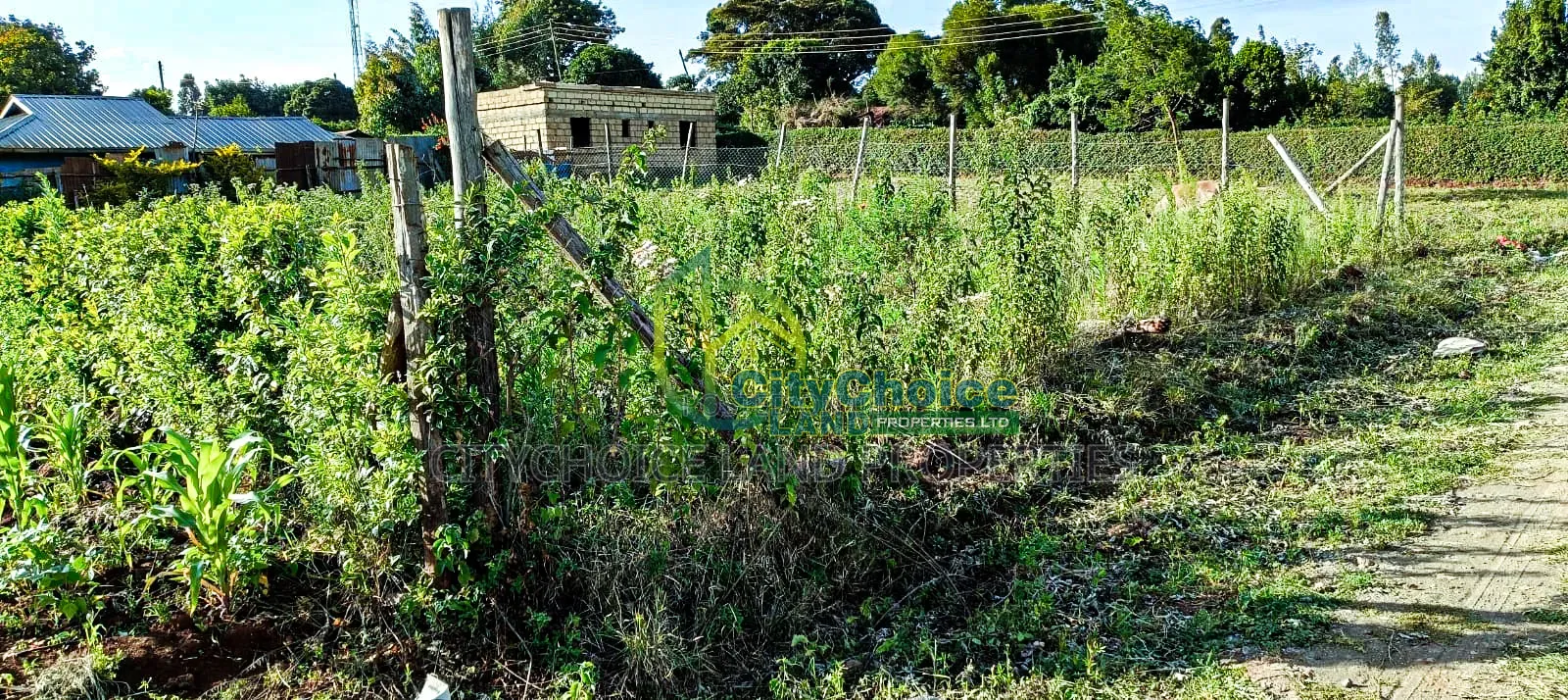Prime Residential 50by100 Plot for Sale in Kikuyu Gikambura in Karai