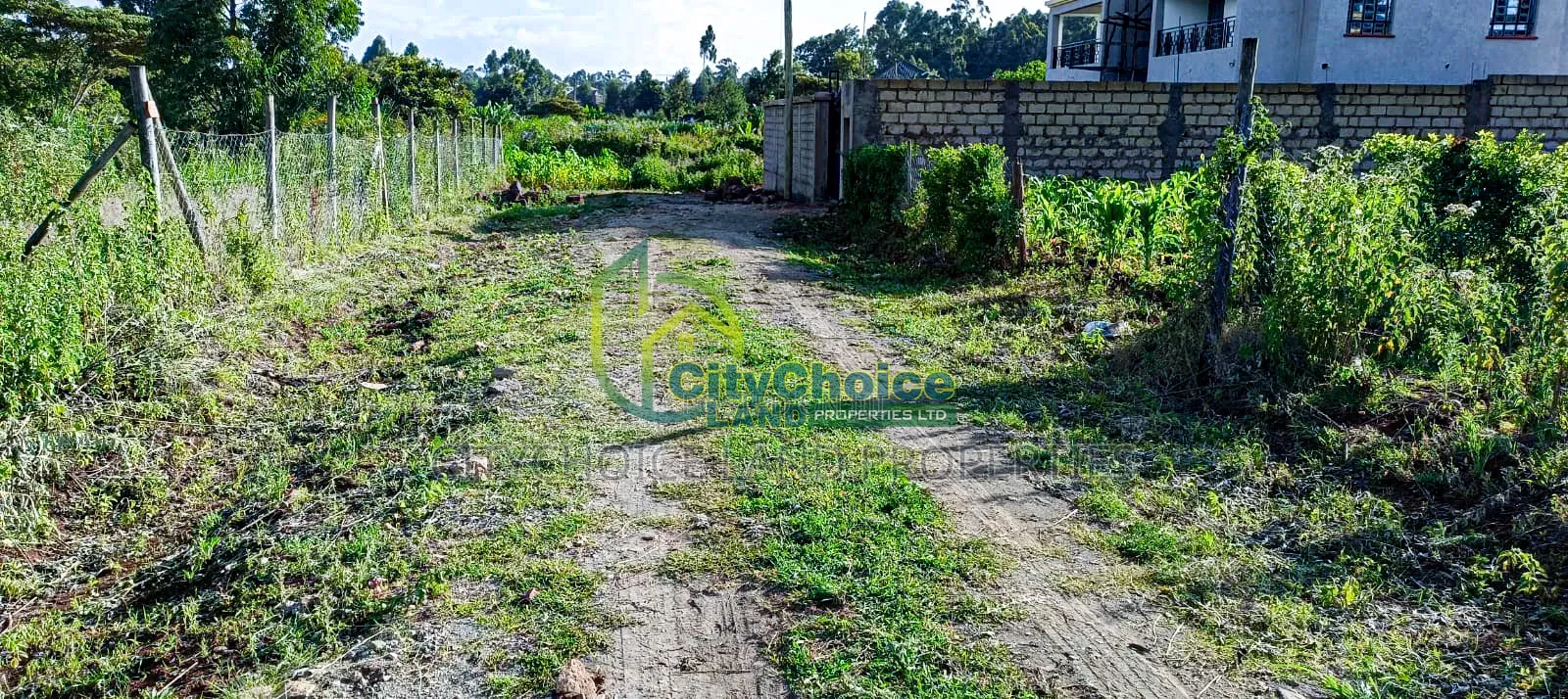 Prime Residential 50by100 Plot for Sale in Kikuyu Gikambura in Karai