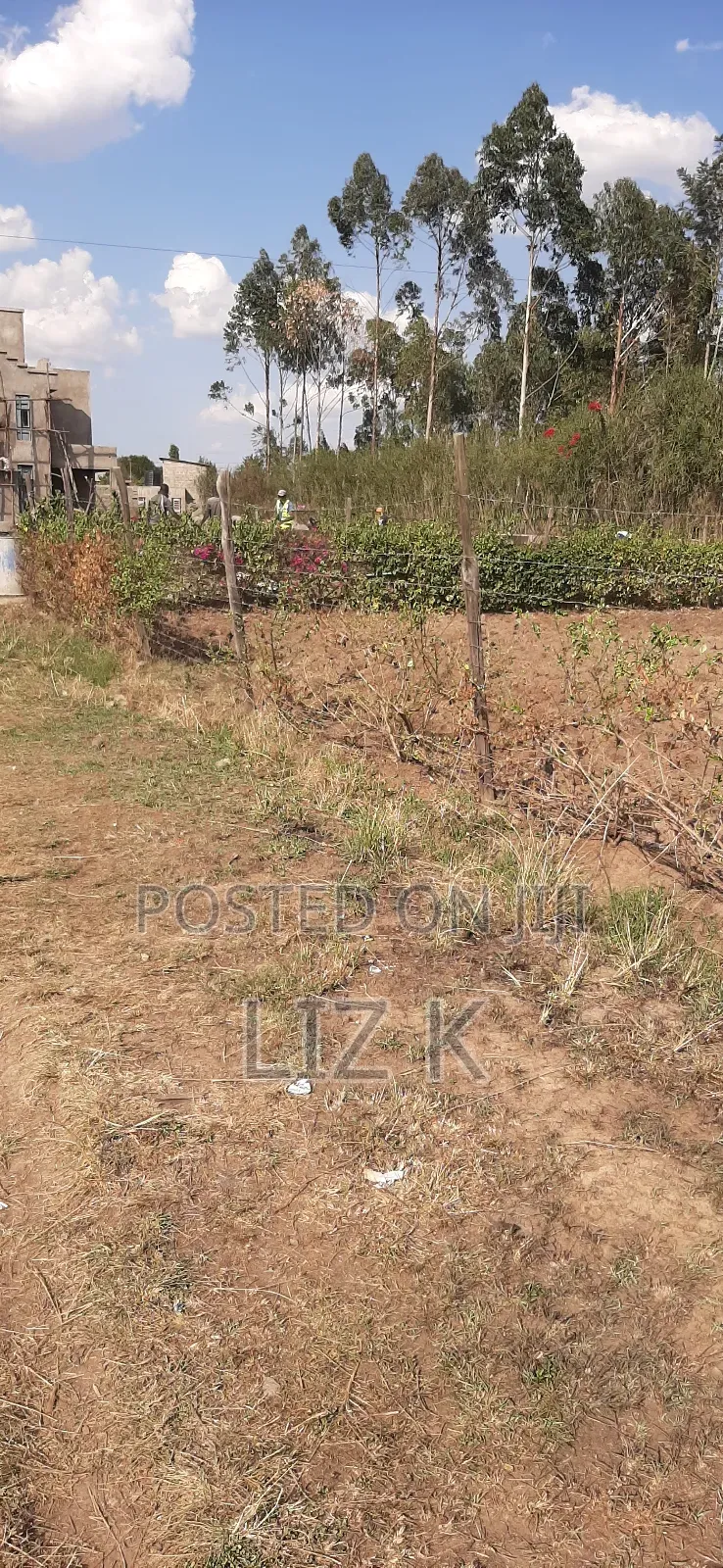 Quarter Acre in Mugutha(100x100) in Ruiru