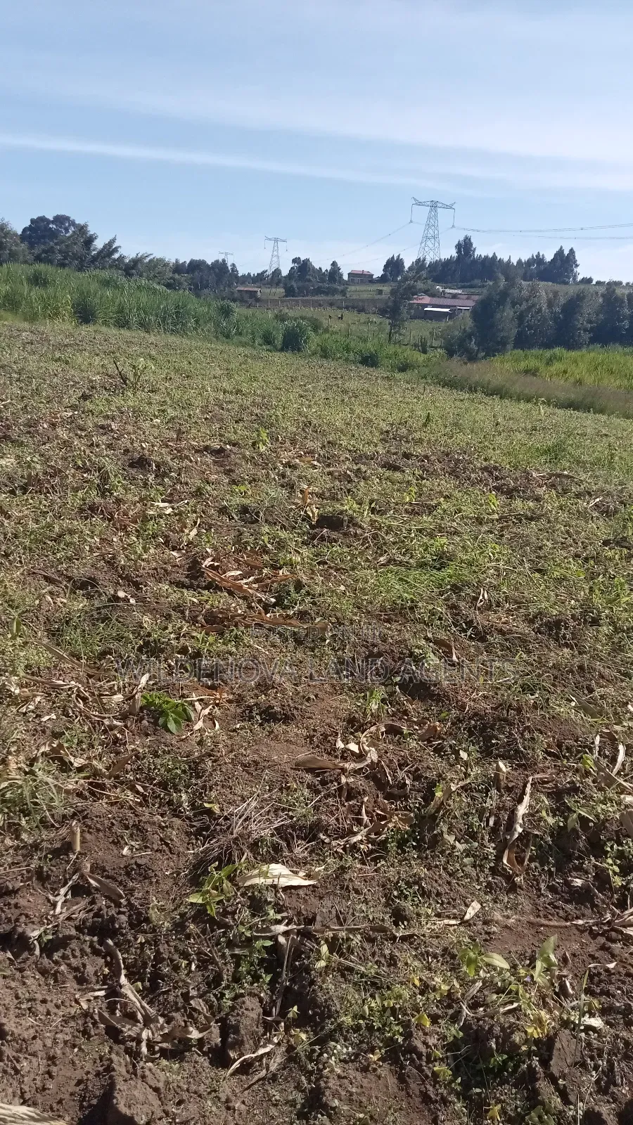 Land on Sale at Kinungi Naivasha in Biashara
